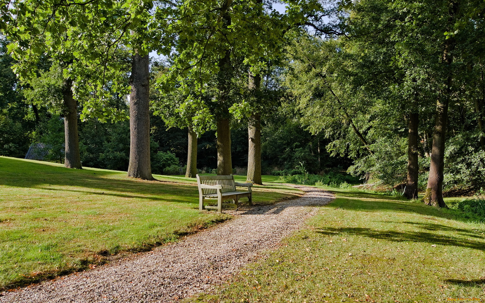 природа, парк, скамья, дорога