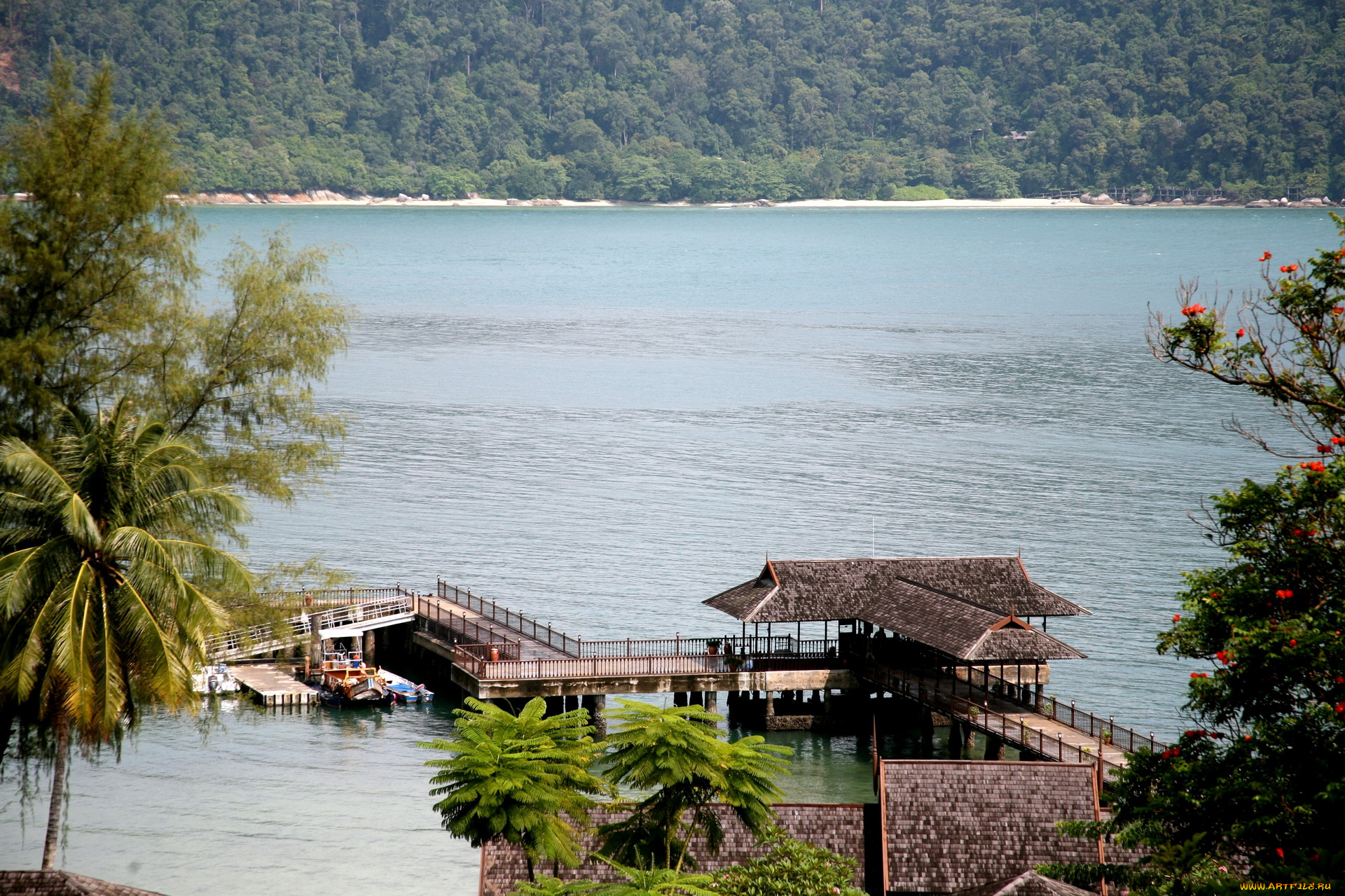 природа, реки, озера, лодка, мостки, деревья, озеро