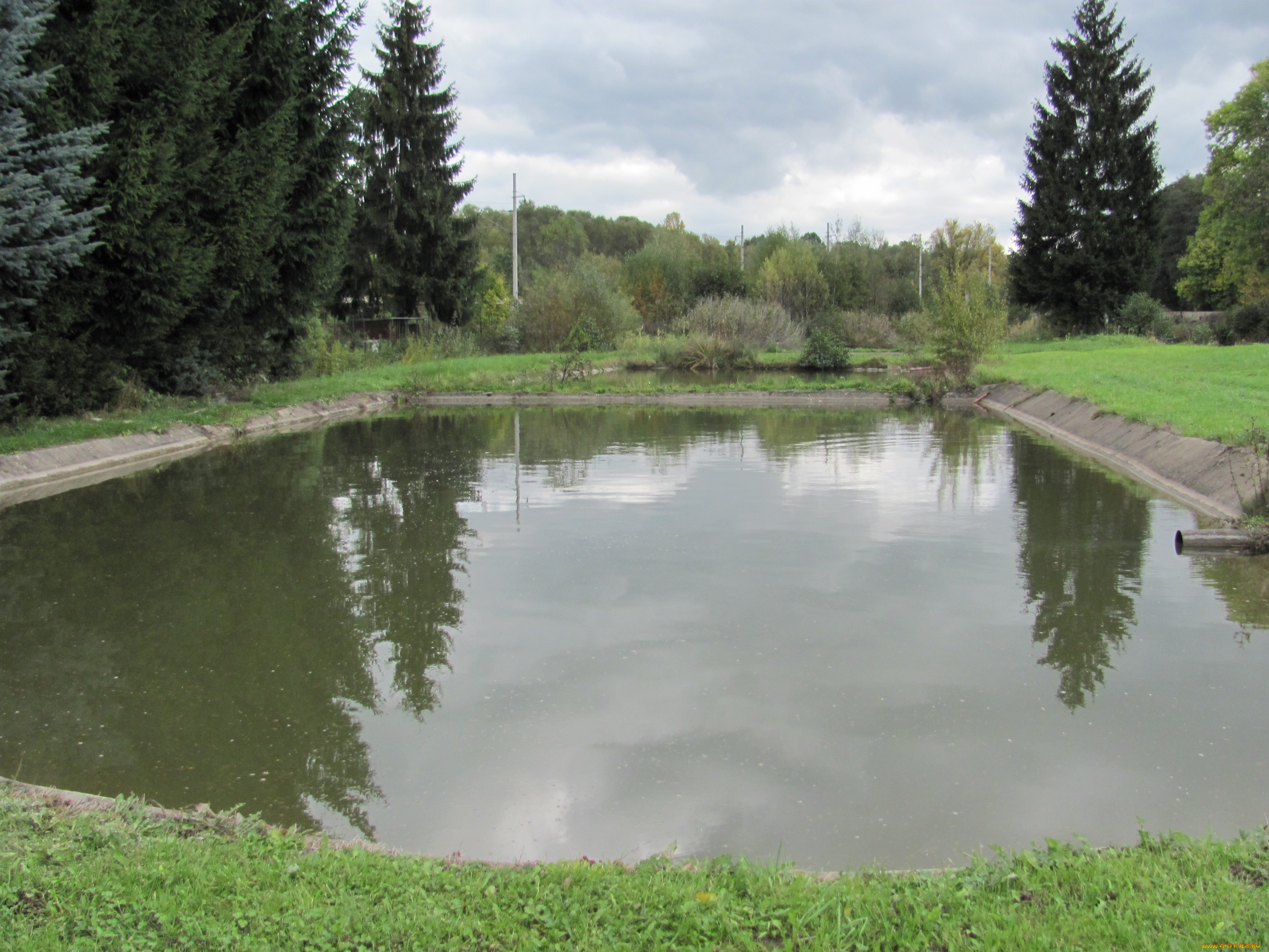 природа, реки, озера, пруд, трава, отражение, деревья