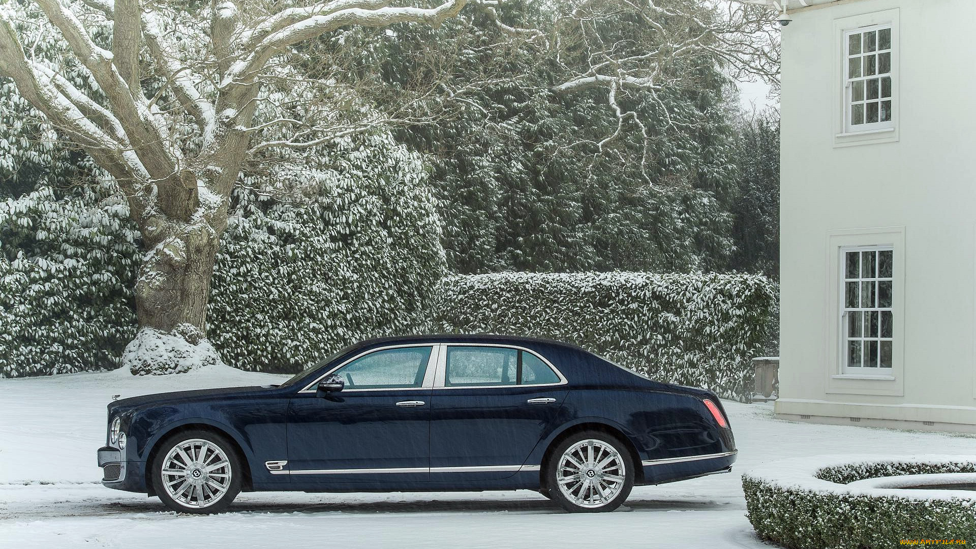 автомобили, bentley