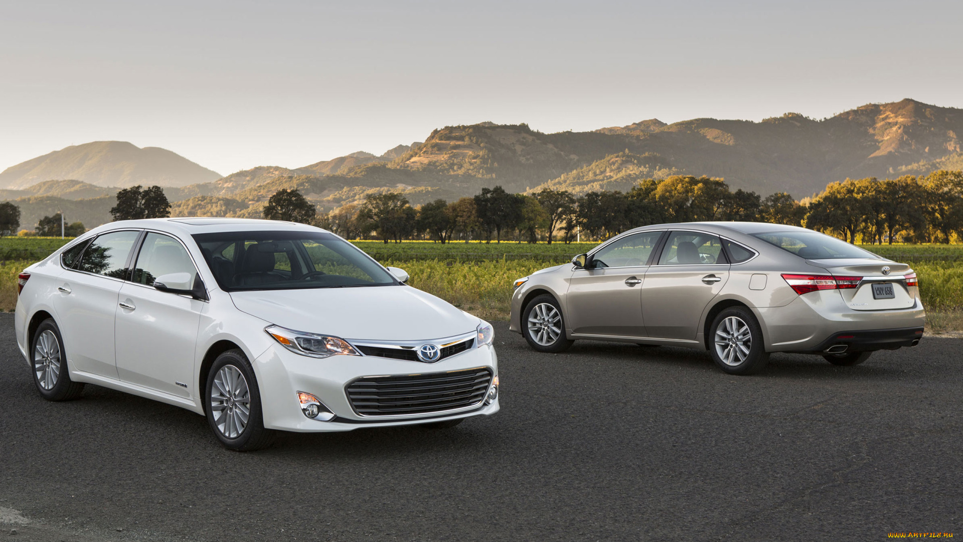 автомобили, toyota