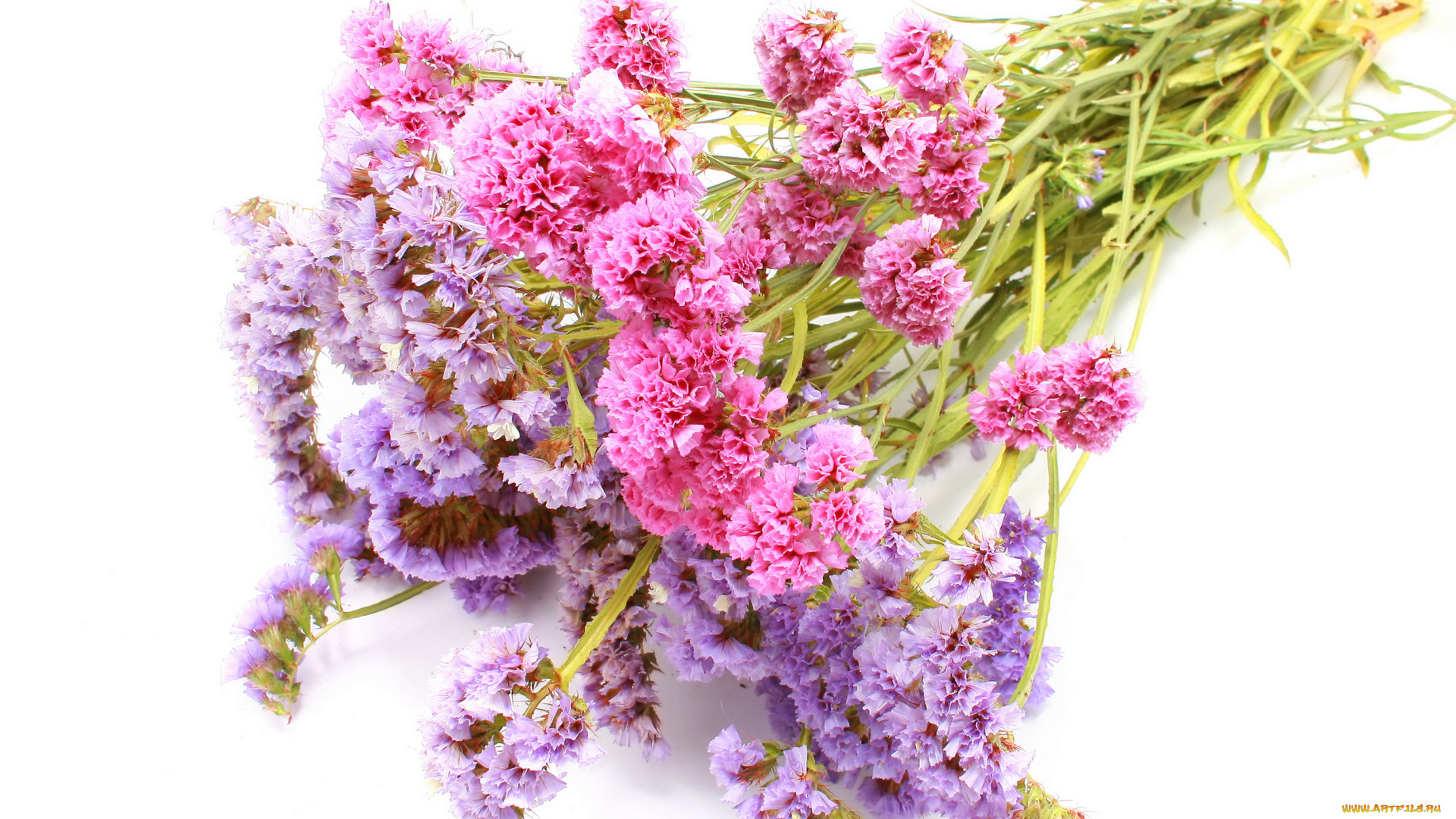 цветы, букет