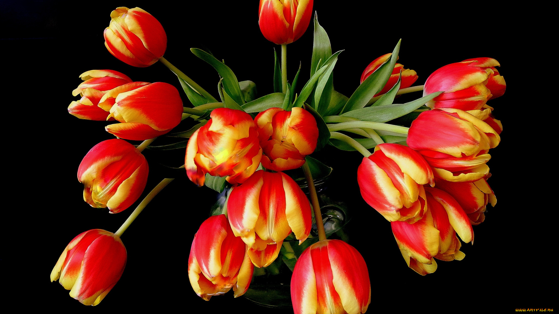 цветы, тюльпаны, букет