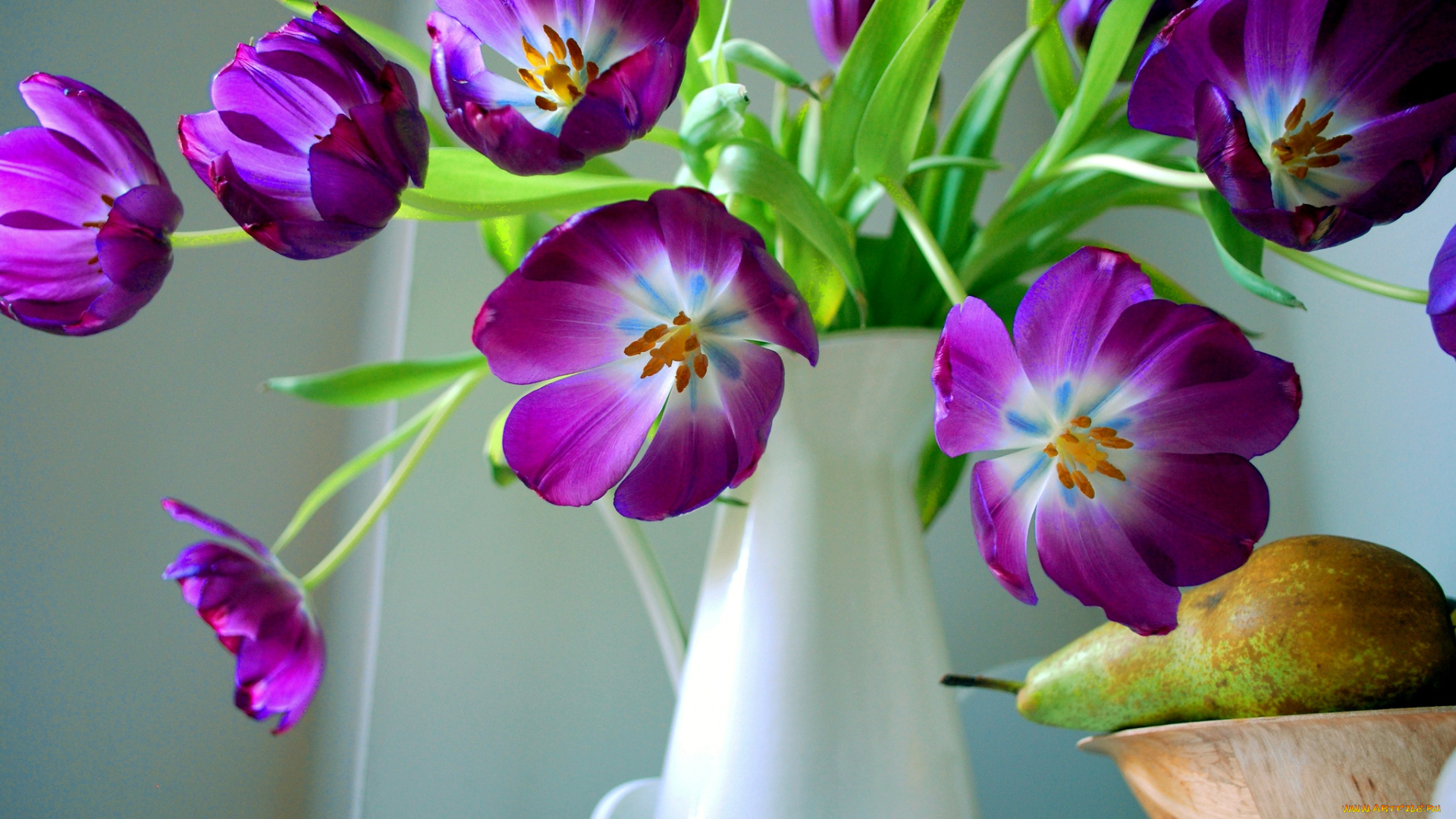 цветы, тюльпаны, лиловый, букет, груша