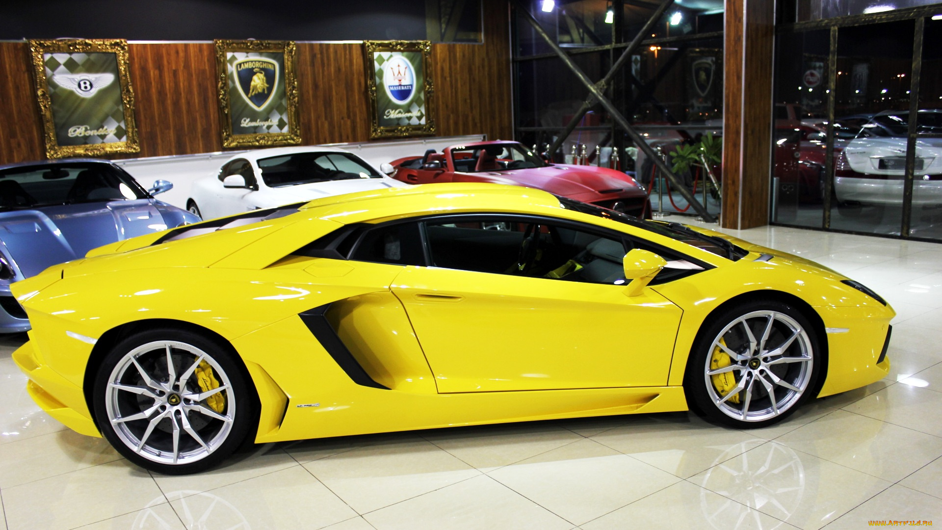 lamborghini, aventador, автомобили, выставки, уличные, фото, италия, люкс, спортивный