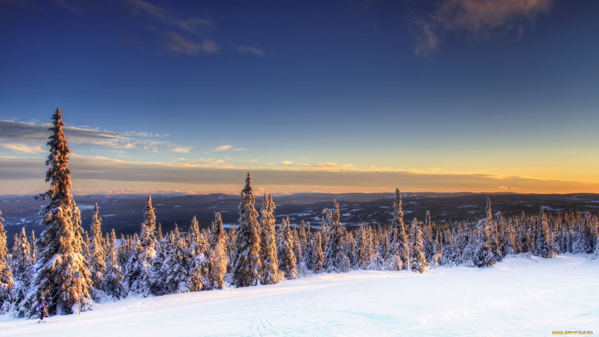 norway, природа, зима, норвегия, ели, снег