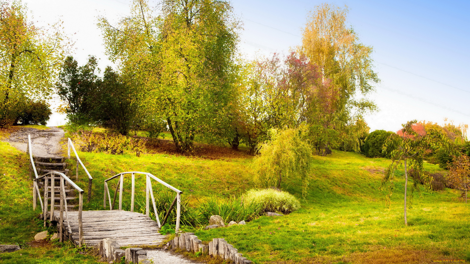 природа, деревья, пейзаж, весна