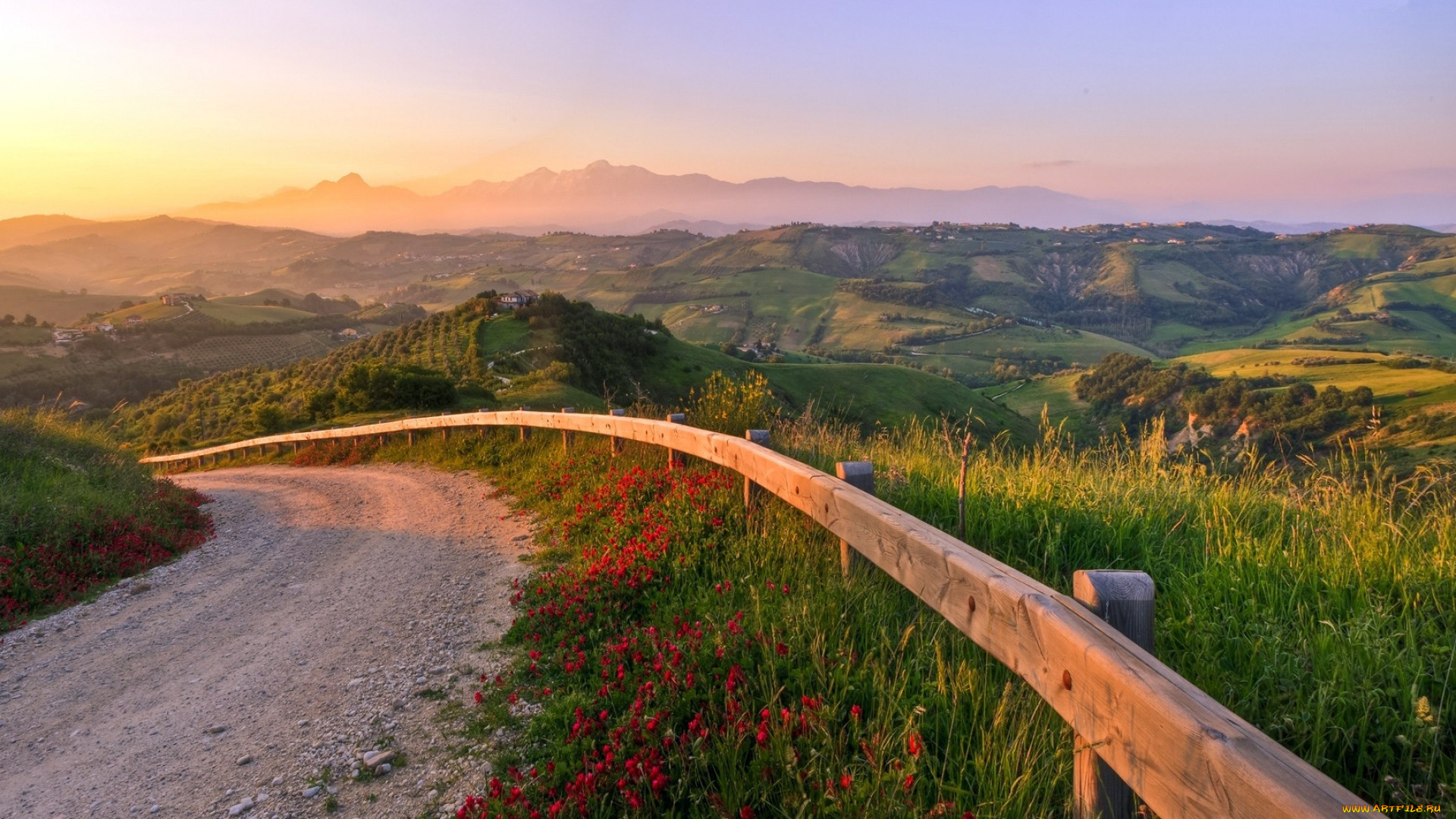 природа, дороги, цветы, трава, горы, дорога, ограждение