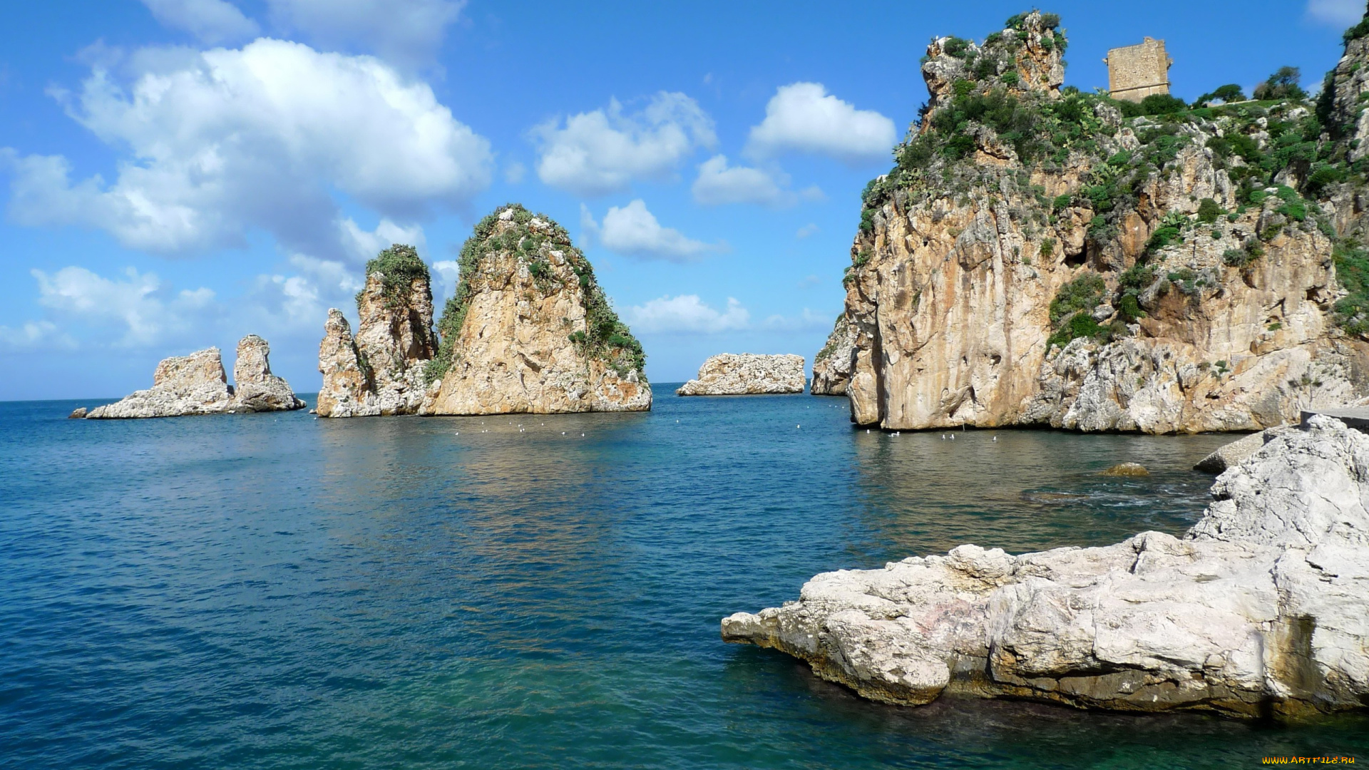 природа, побережье, океан, скалы, круча, деревья