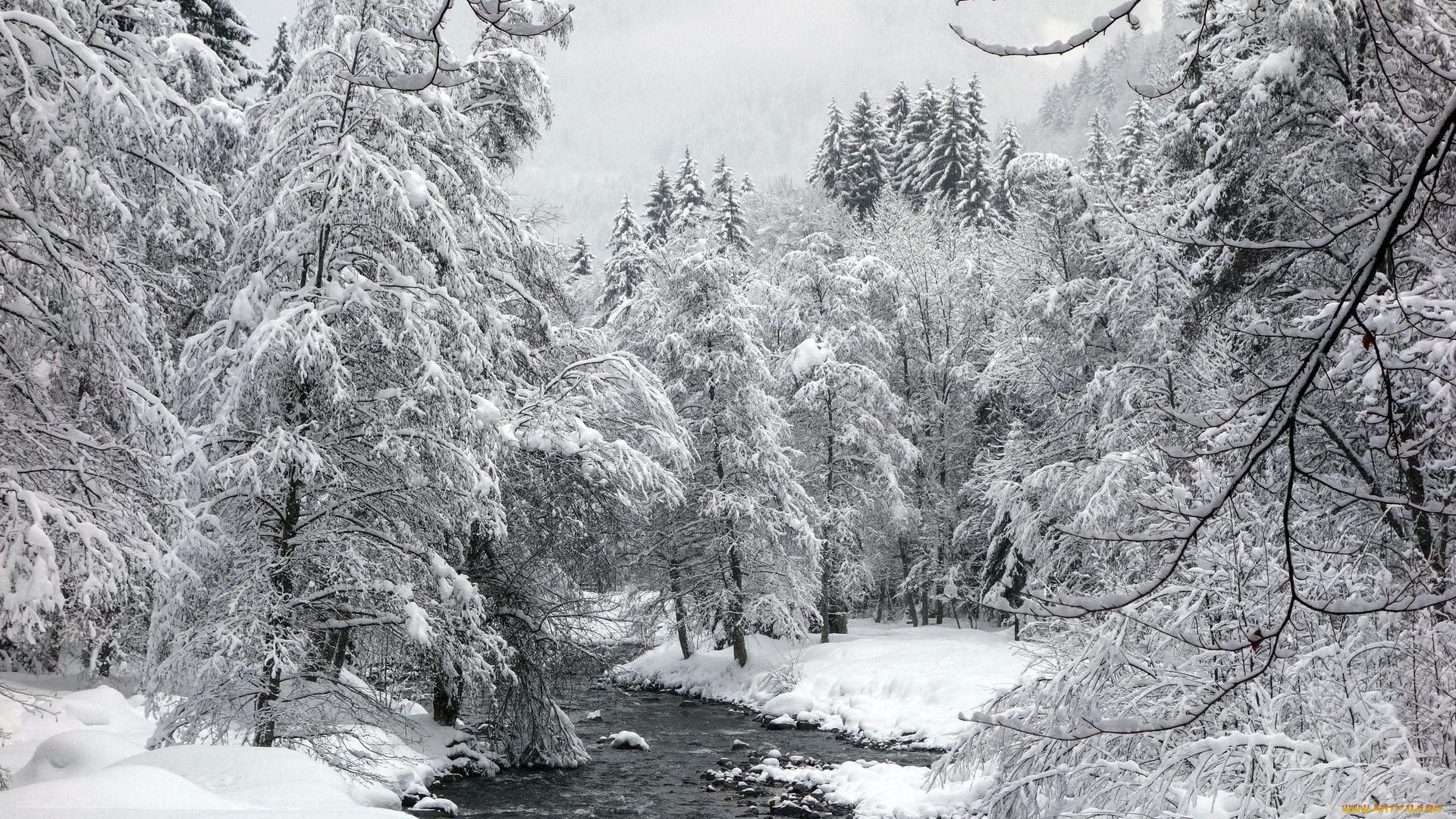 природа, реки, озера, зима, лес, река, пейзаж