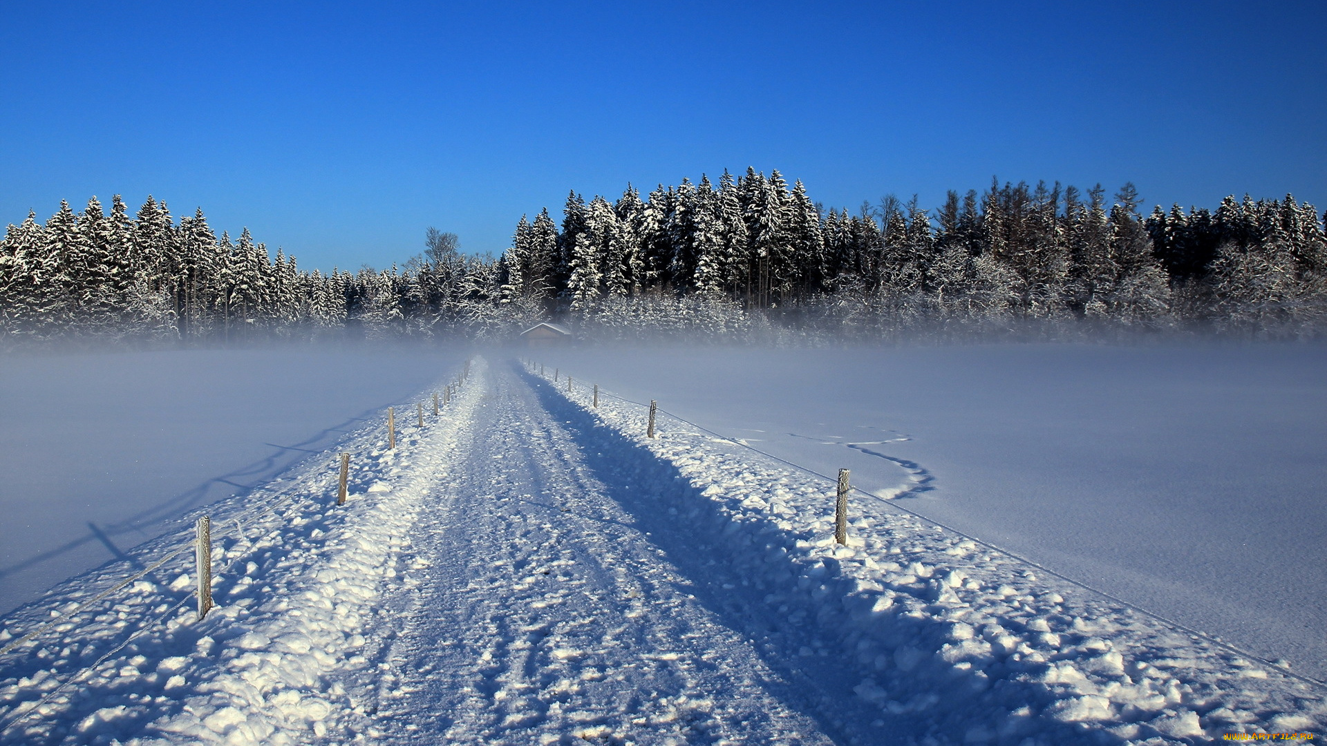 природа, зима, дорога, снег