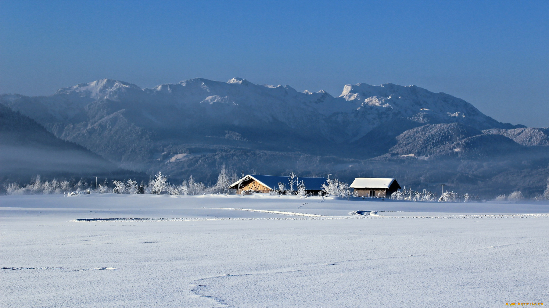 природа, зима, поле, дома, туман
