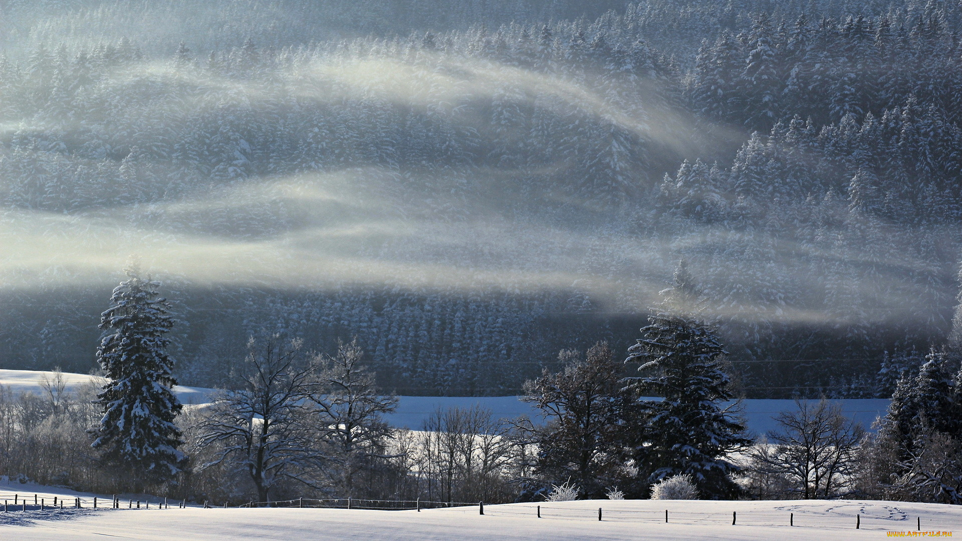 природа, зима, поле, лес, туман