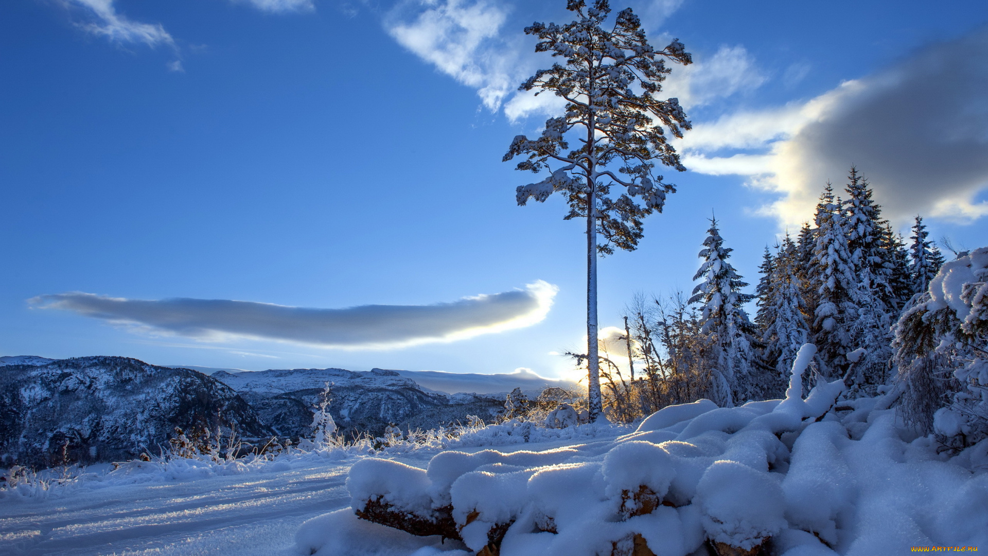 природа, зима, снег, деревья