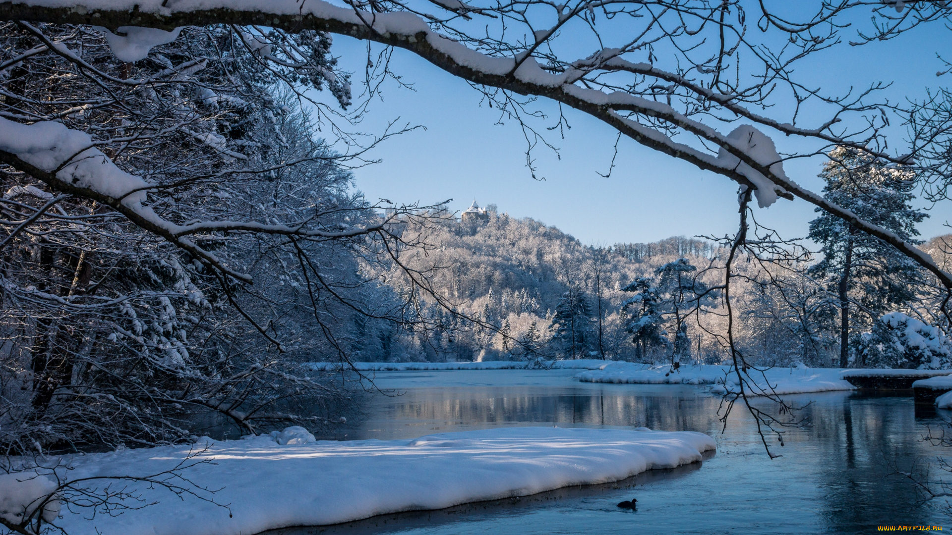 природа, зима, снег, деревья, вода