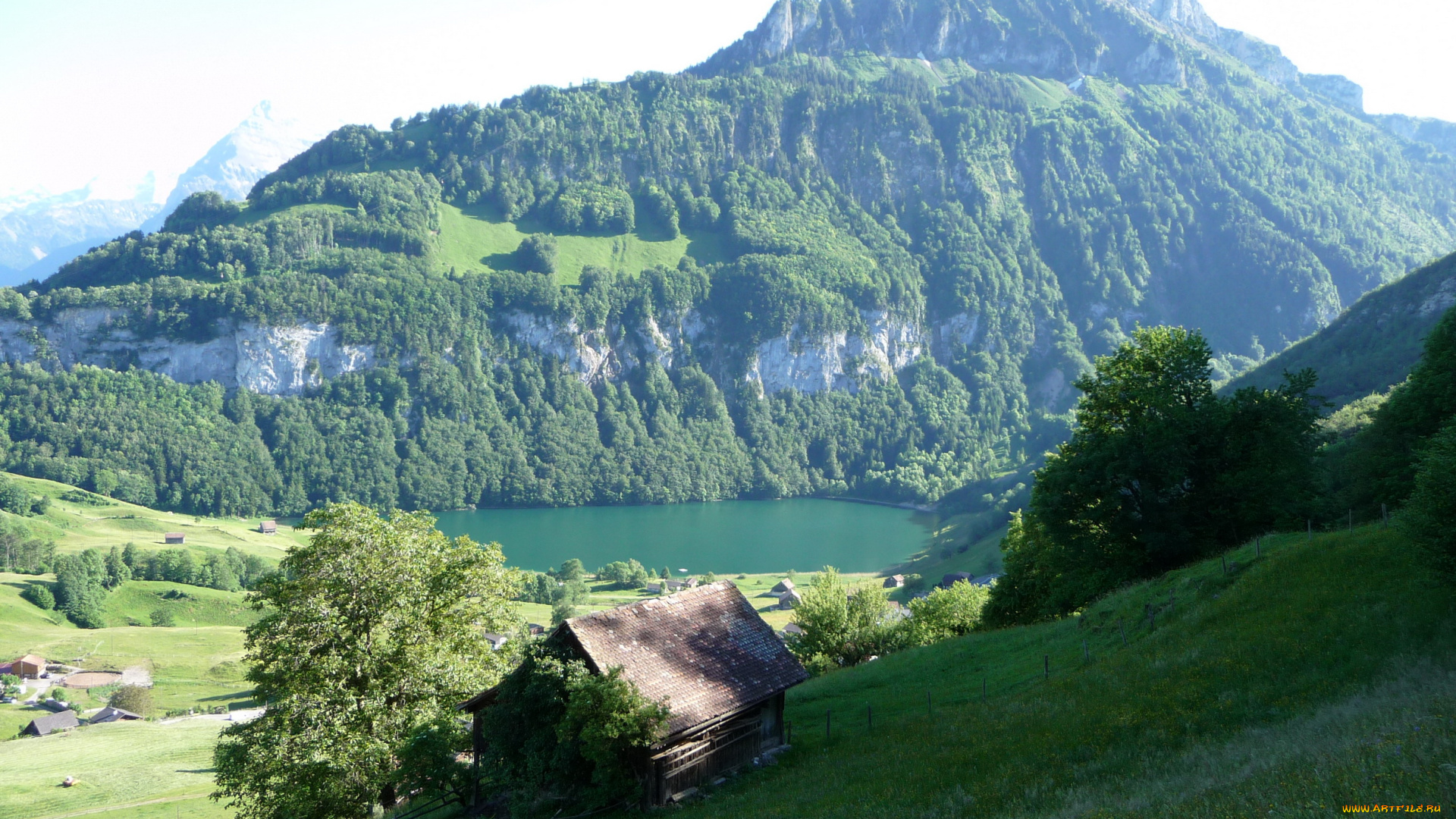 швейцария, ури, зеелисберг, природа, пейзажи, горы, озеро