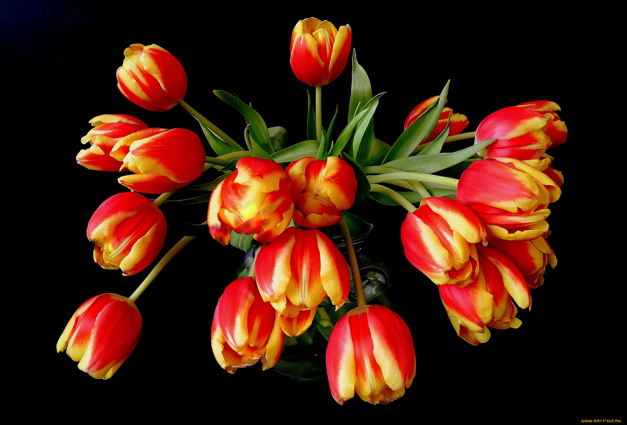 цветы, тюльпаны, букет