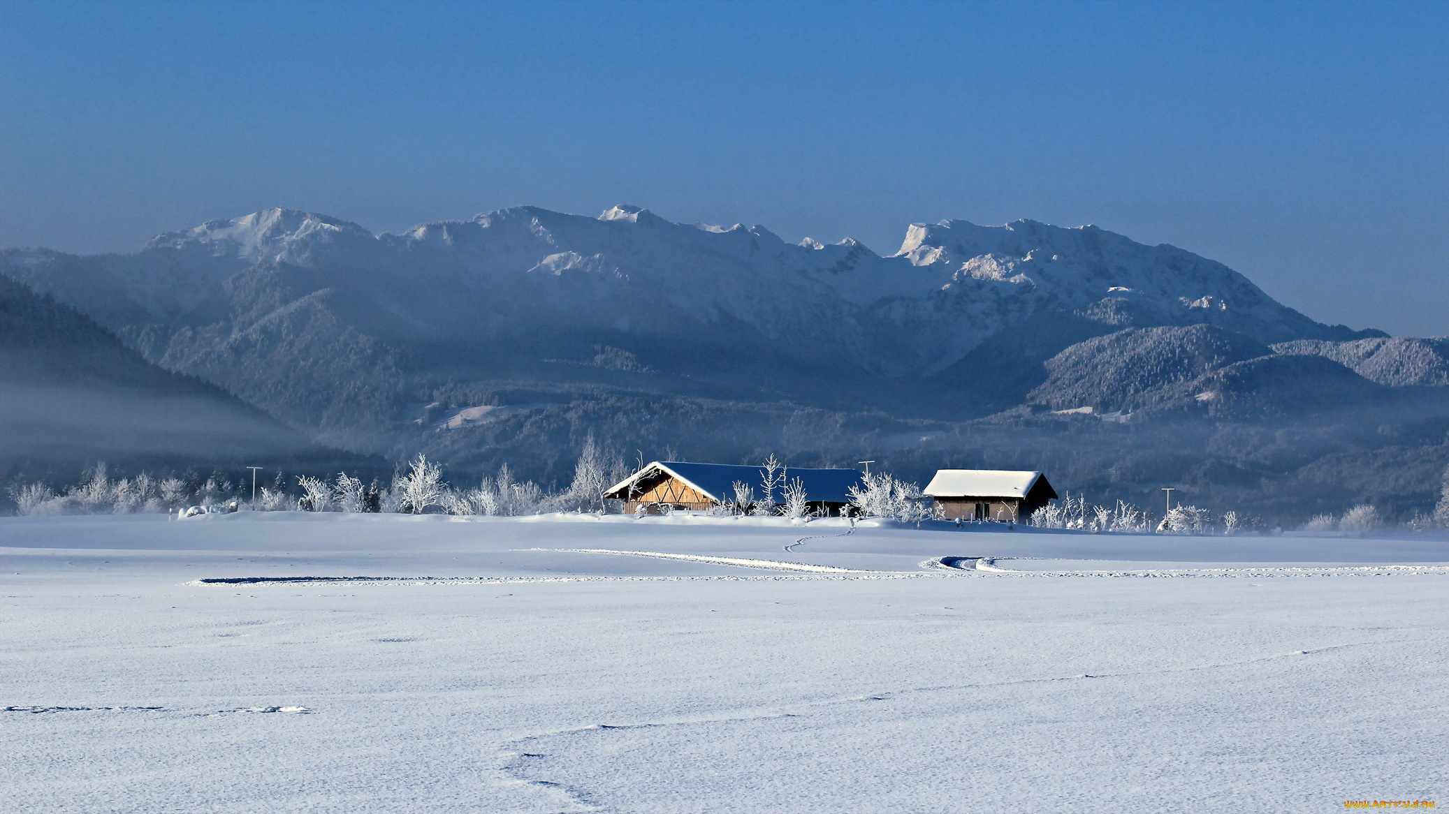 природа, зима, поле, дома, туман