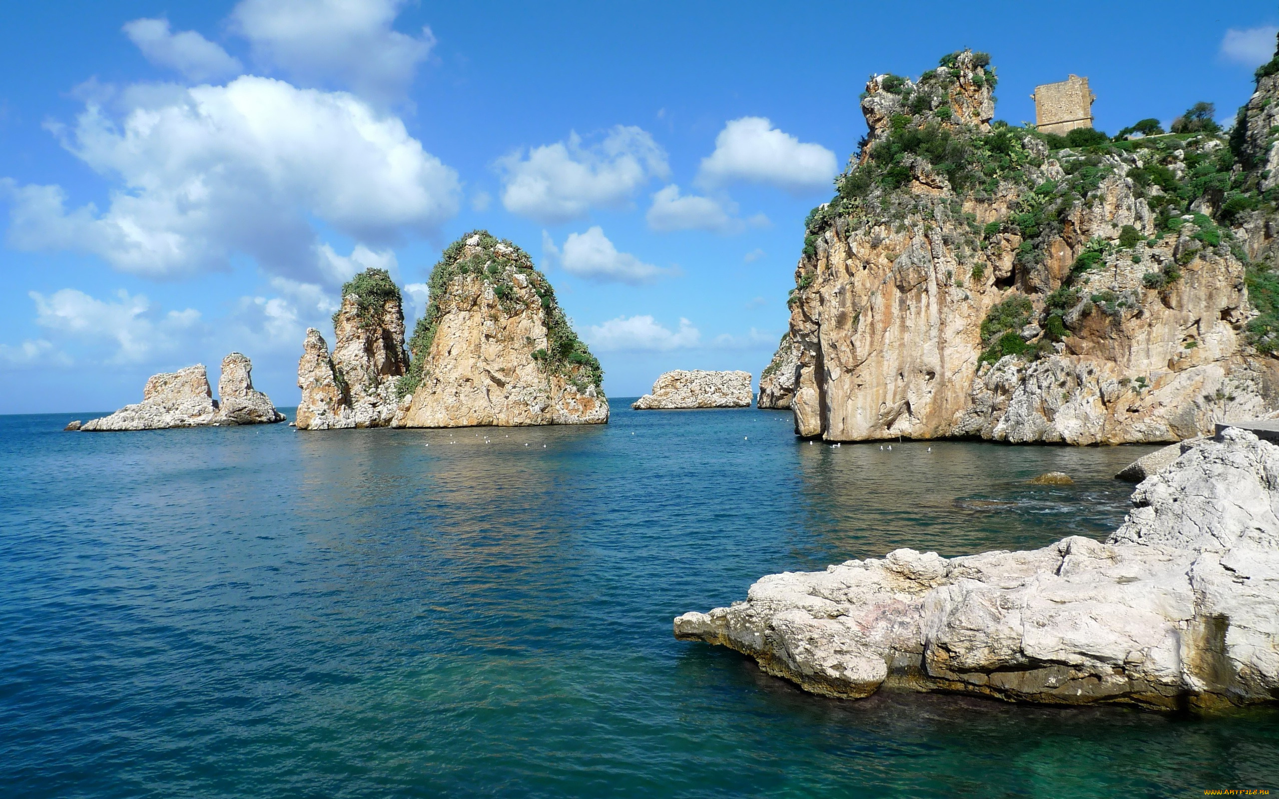 природа, побережье, океан, скалы, круча, деревья