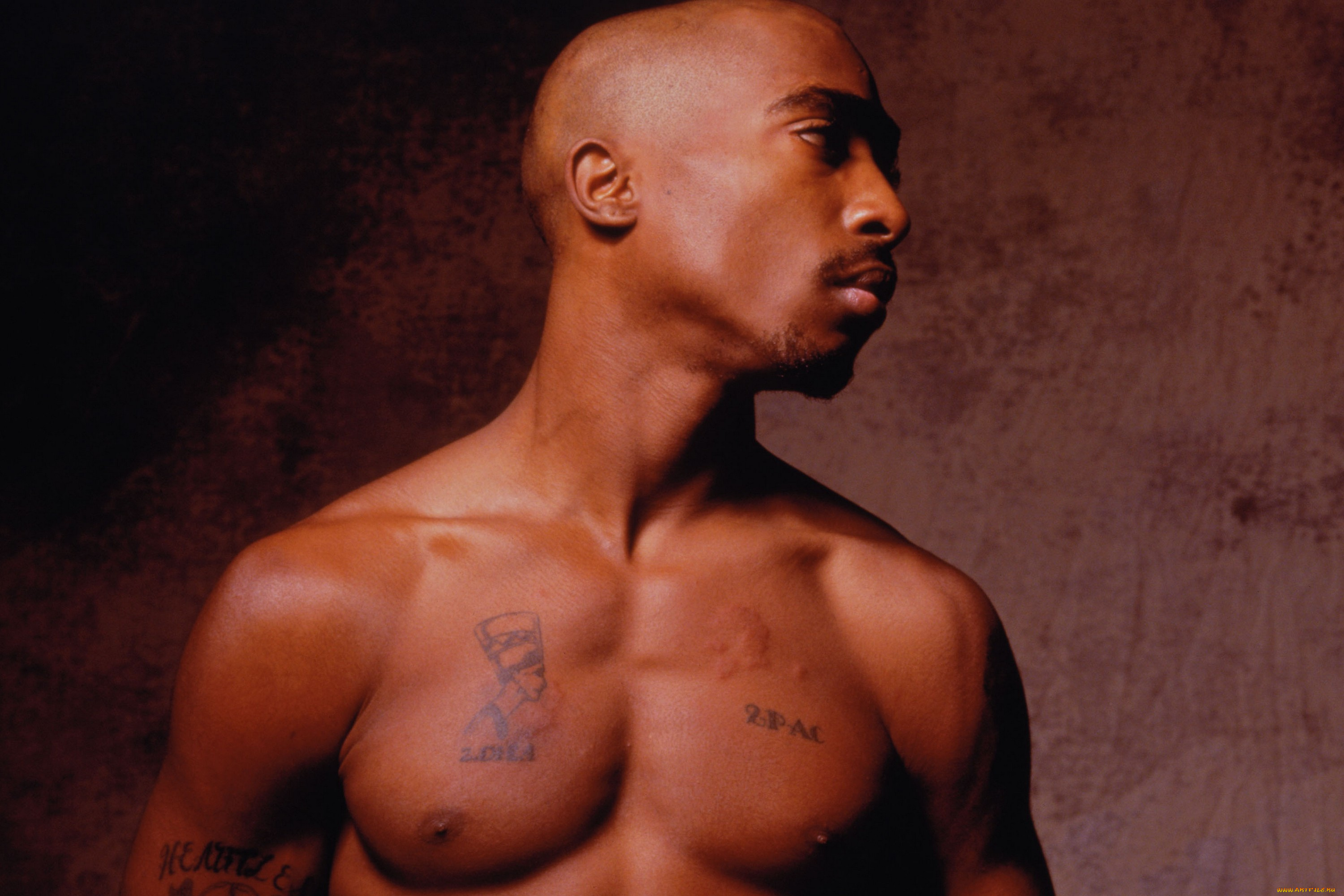 tupac, музыка, shakur, актёр, рэпер, продюсер, сша