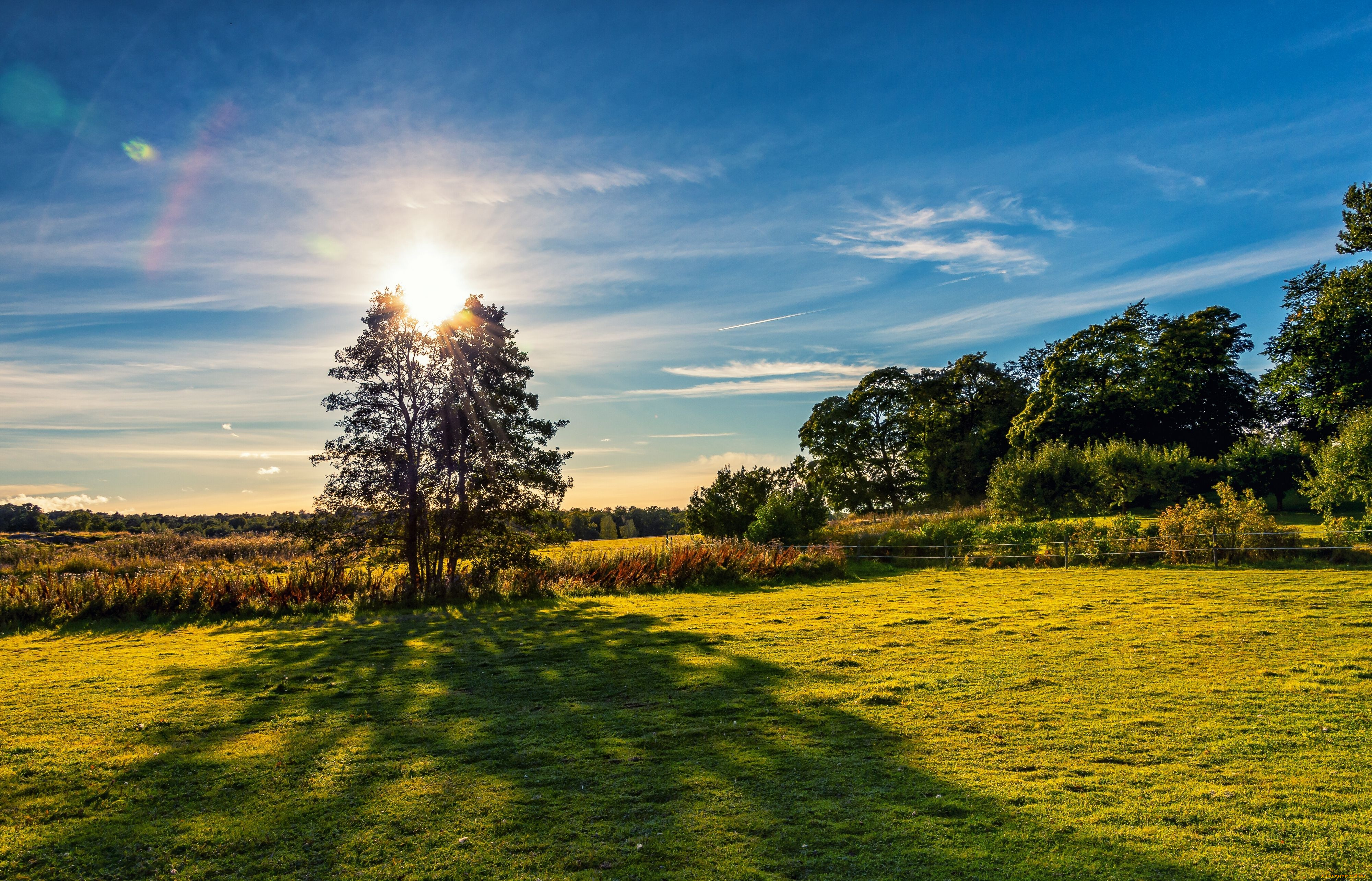 природа, поля, пейзаж, финляндия, finland, деревья