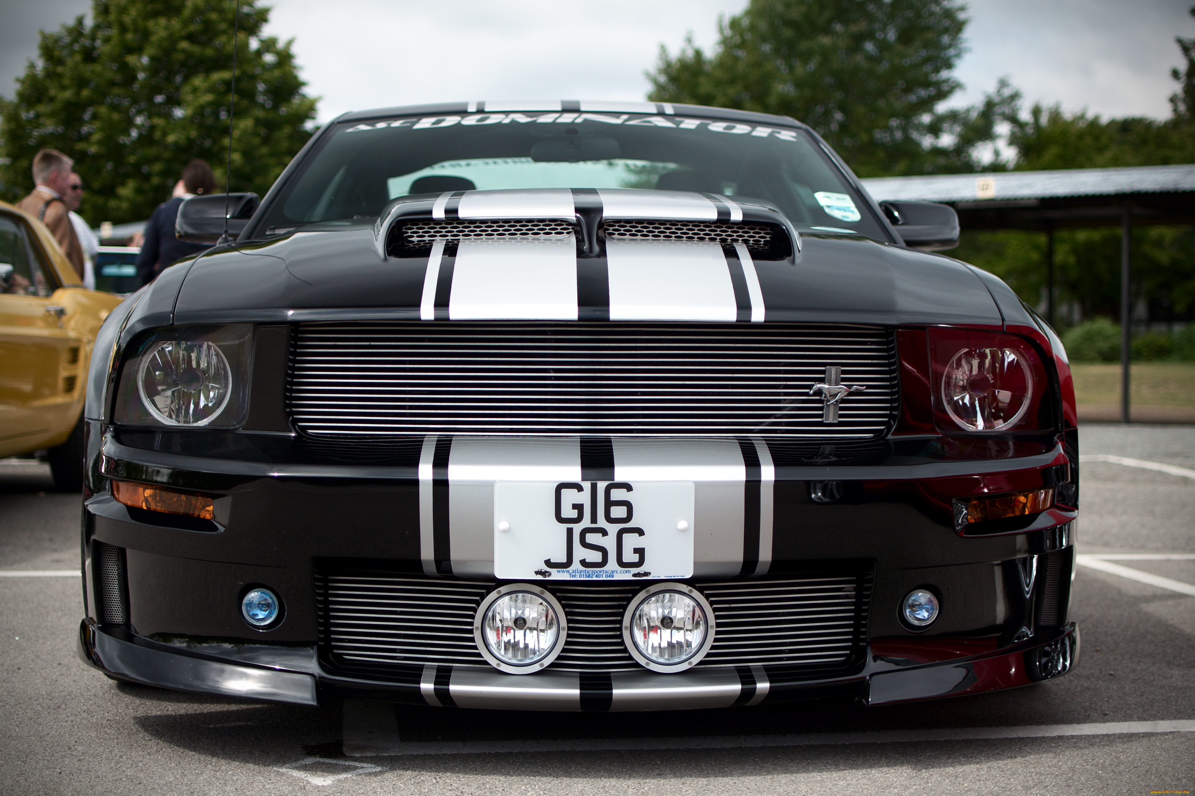 автомобили, mustang, ford, asc, dominator