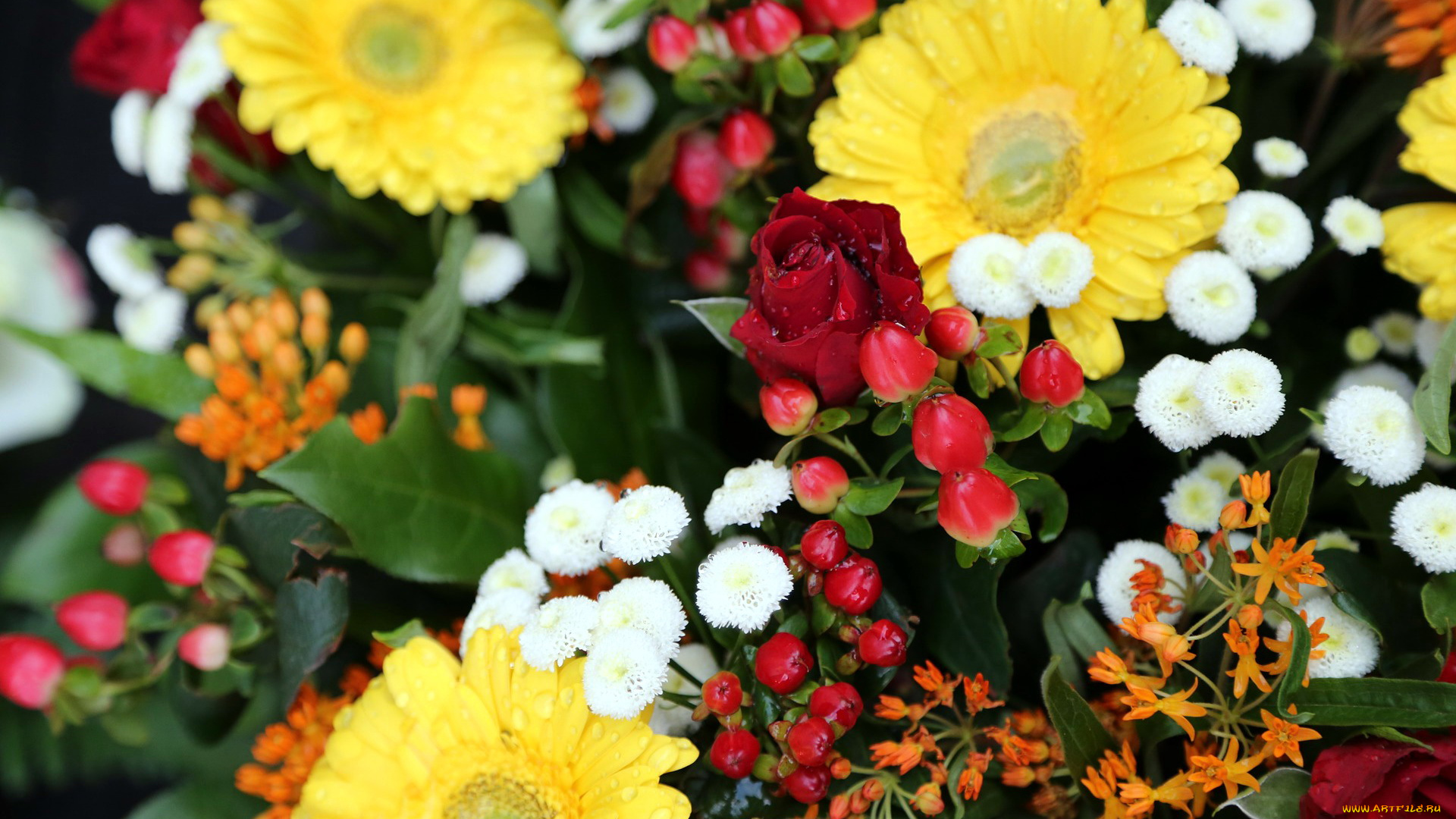 цветы, разные, вместе, розы, герберы