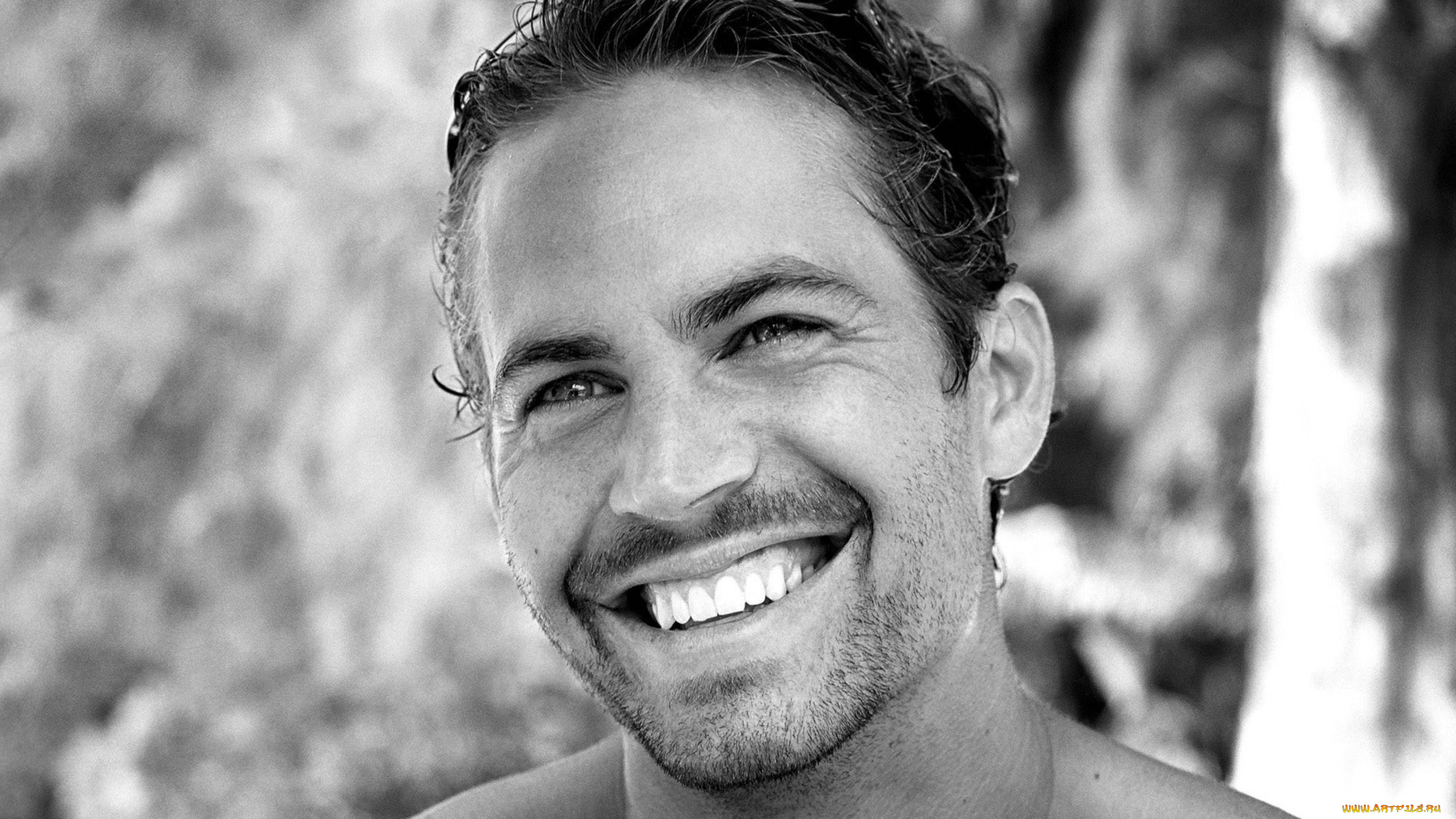 мужчины, paul, walker, paul, walker