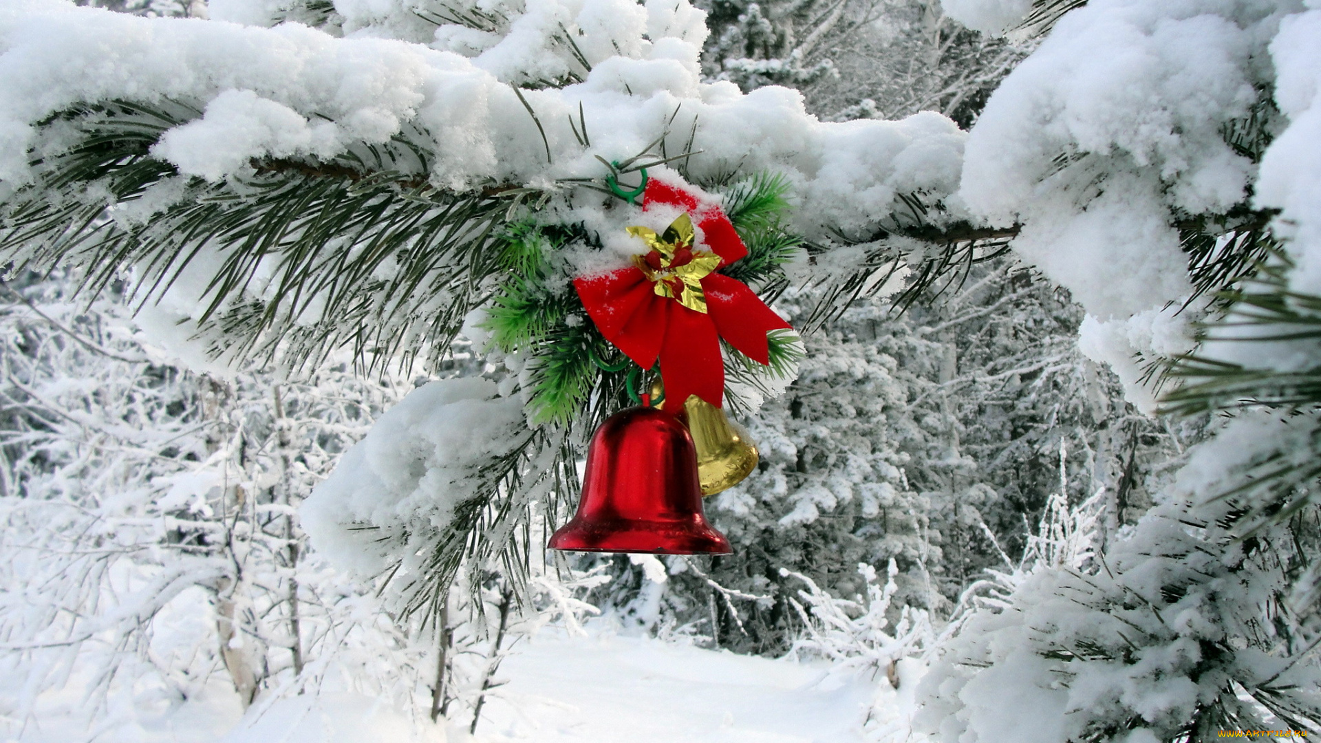 праздничные, колокольчики, бант, ветка, снег
