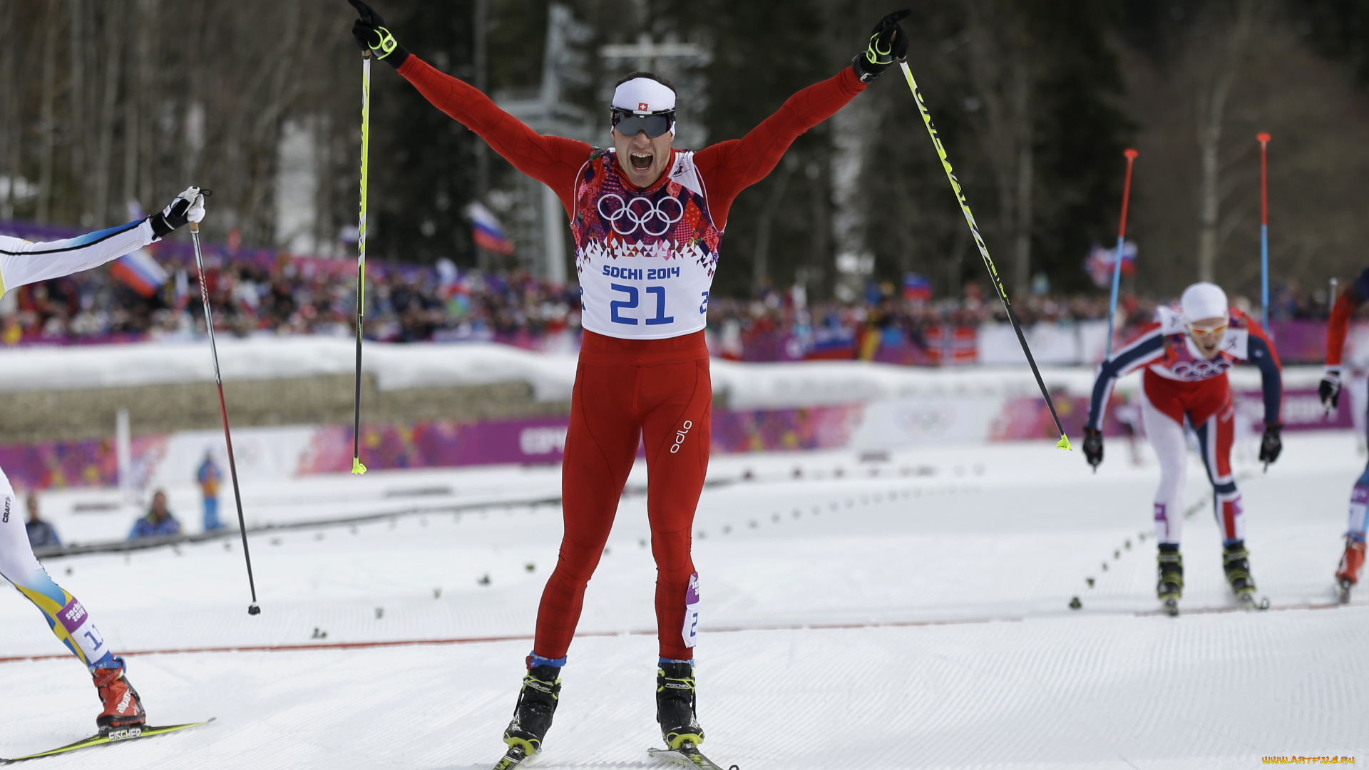 спорт, лыжный, спорт, олимпиада, сочи, снег, трасса, лыжник, лыжи, победитель, швейцарец, dario, cologna