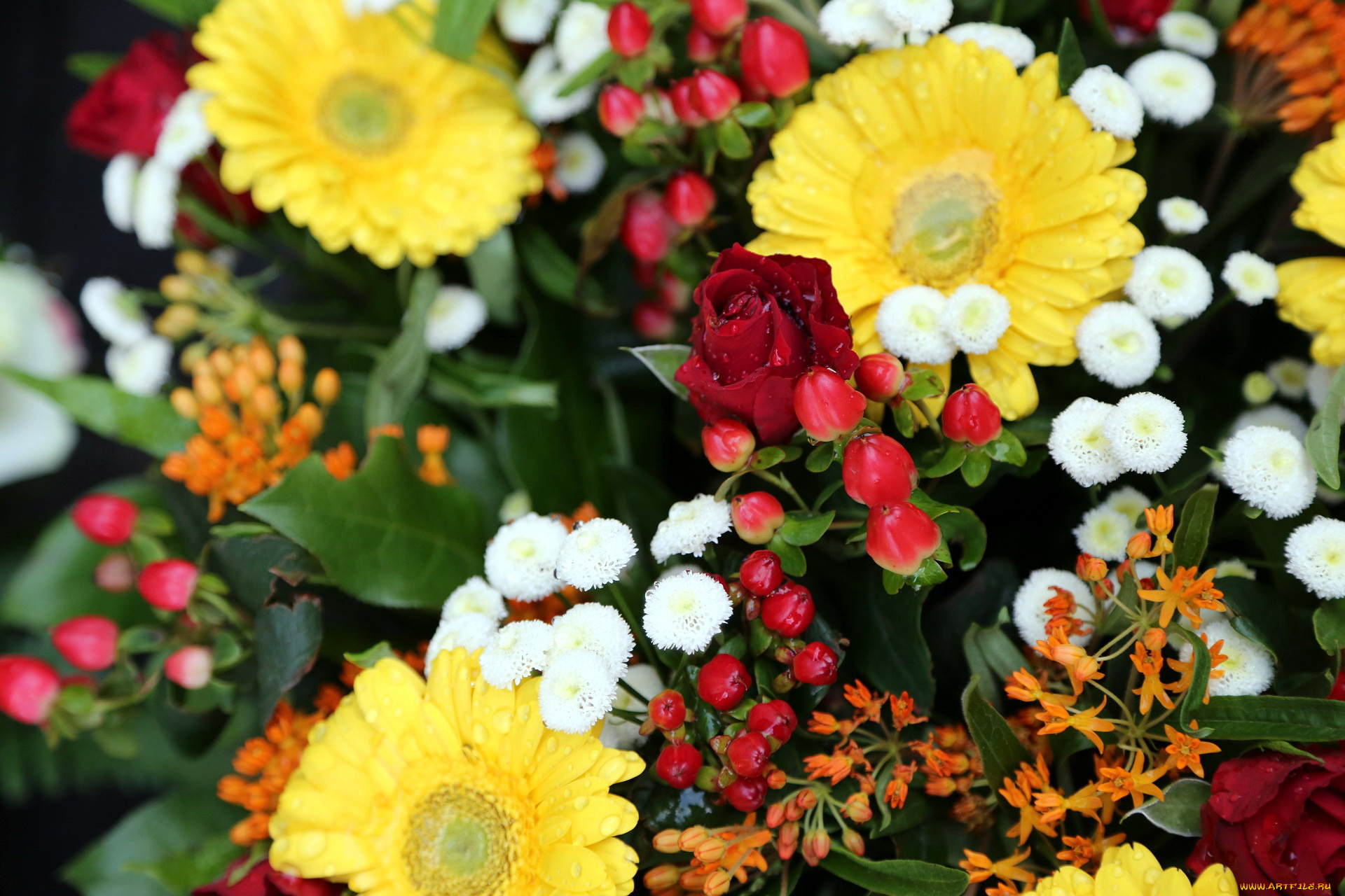 цветы, разные, вместе, розы, герберы