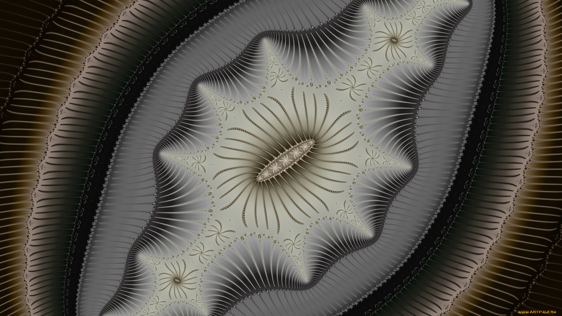 3д, графика, фракталы, , fractal, цвета, фон, узор