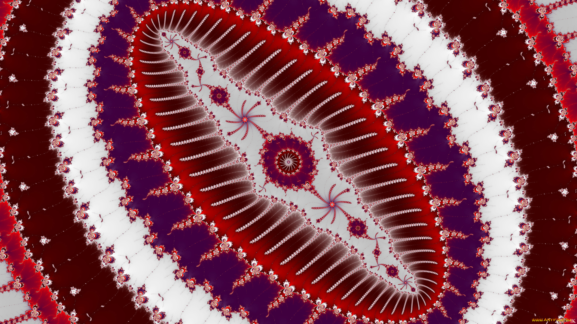 3д, графика, фракталы, , fractal, цвета, фон, узор