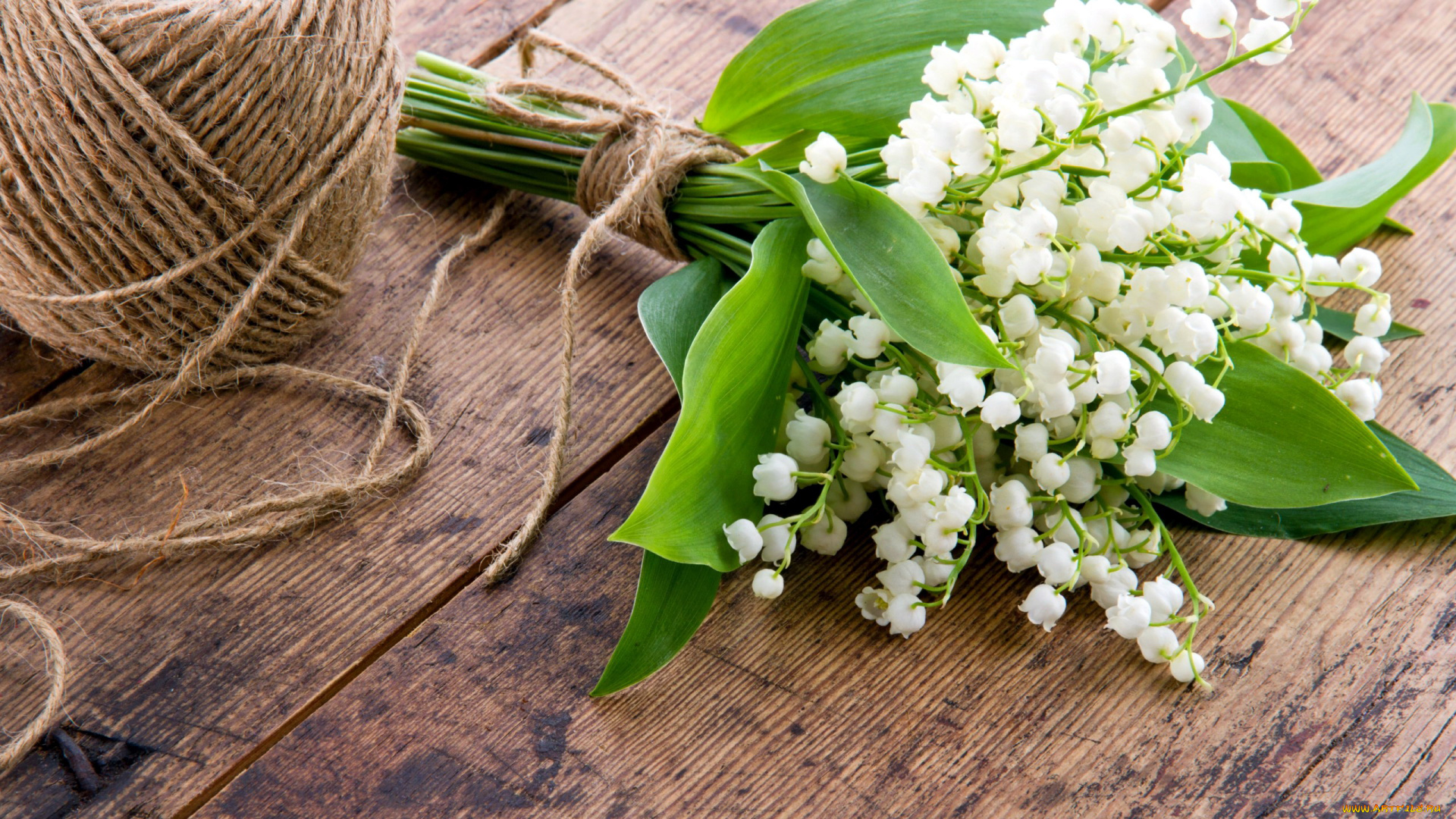 цветы, ландыши, майский
