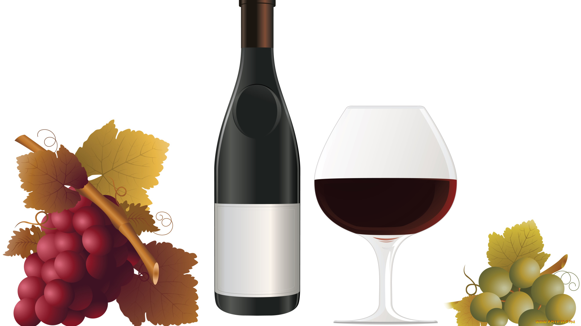 векторная, графика, еда, вино, бутылка, лоза, виноград, листья, бокал