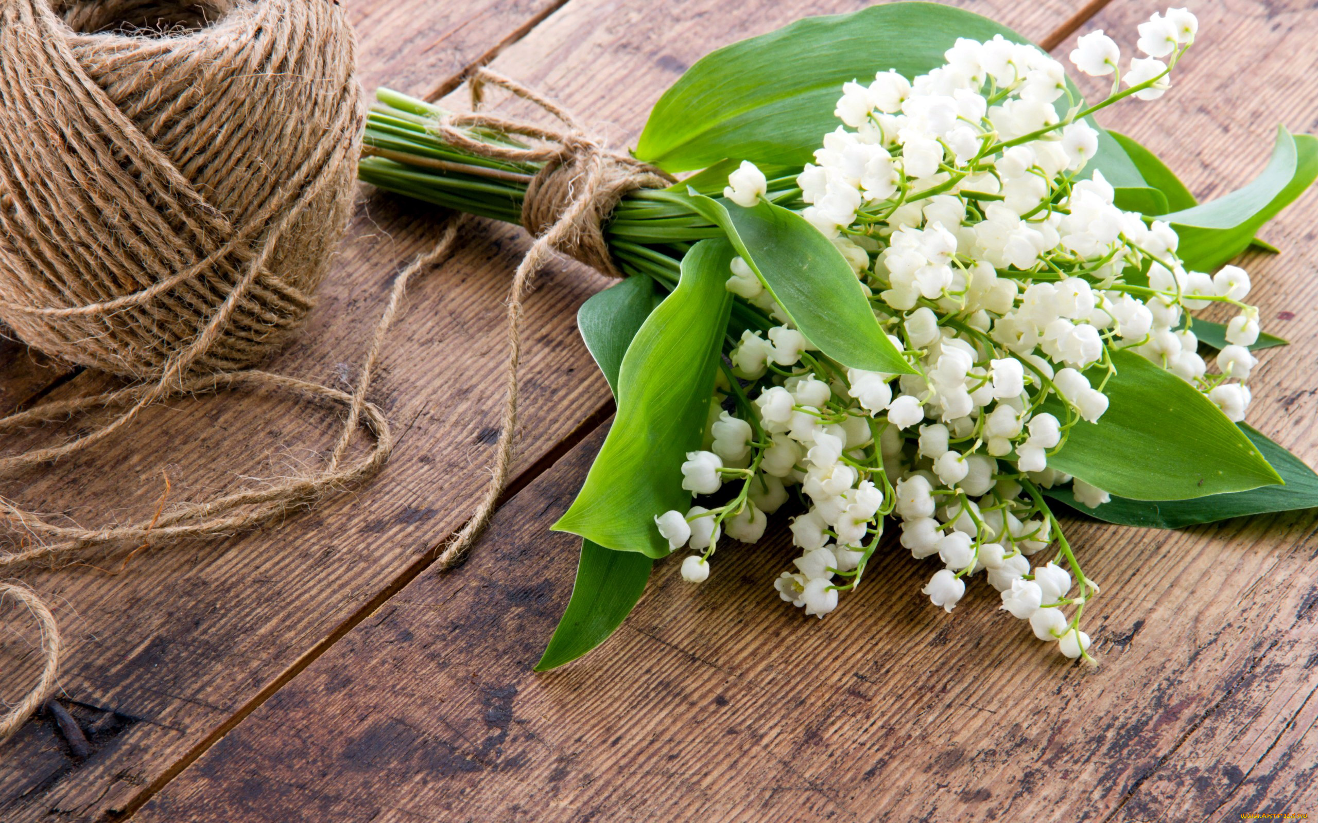 цветы, ландыши, майский