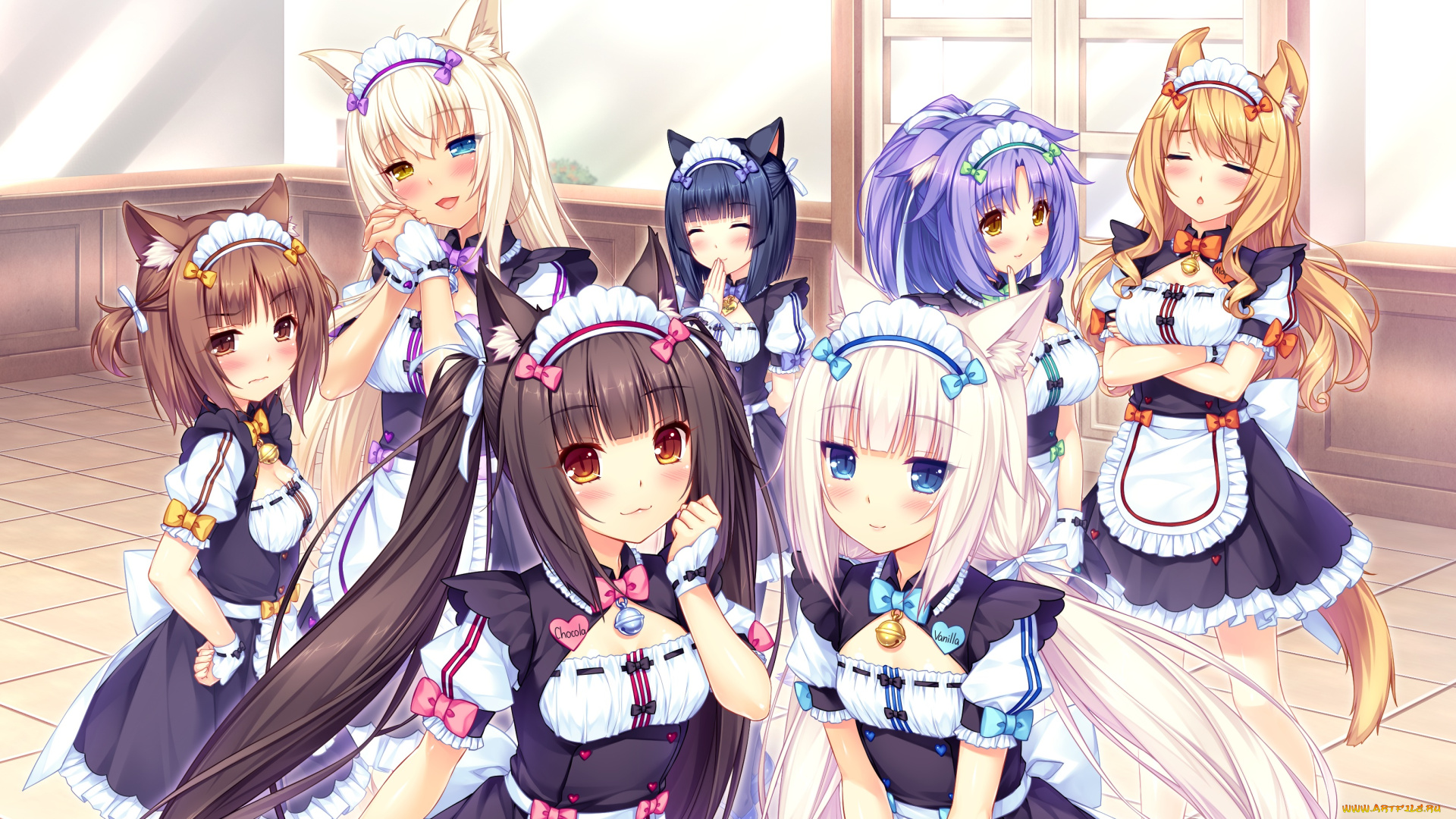 nekopara, аниме, девушки, фон, взгляд