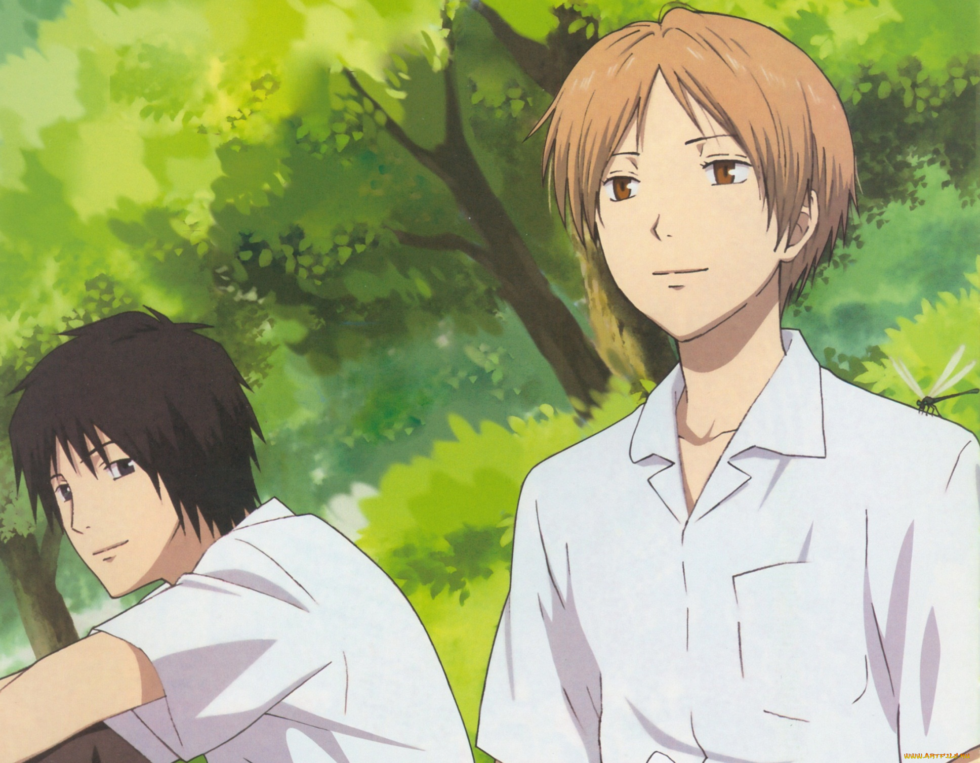 аниме, natsume, yuujinchou, тетрадь, дружбы