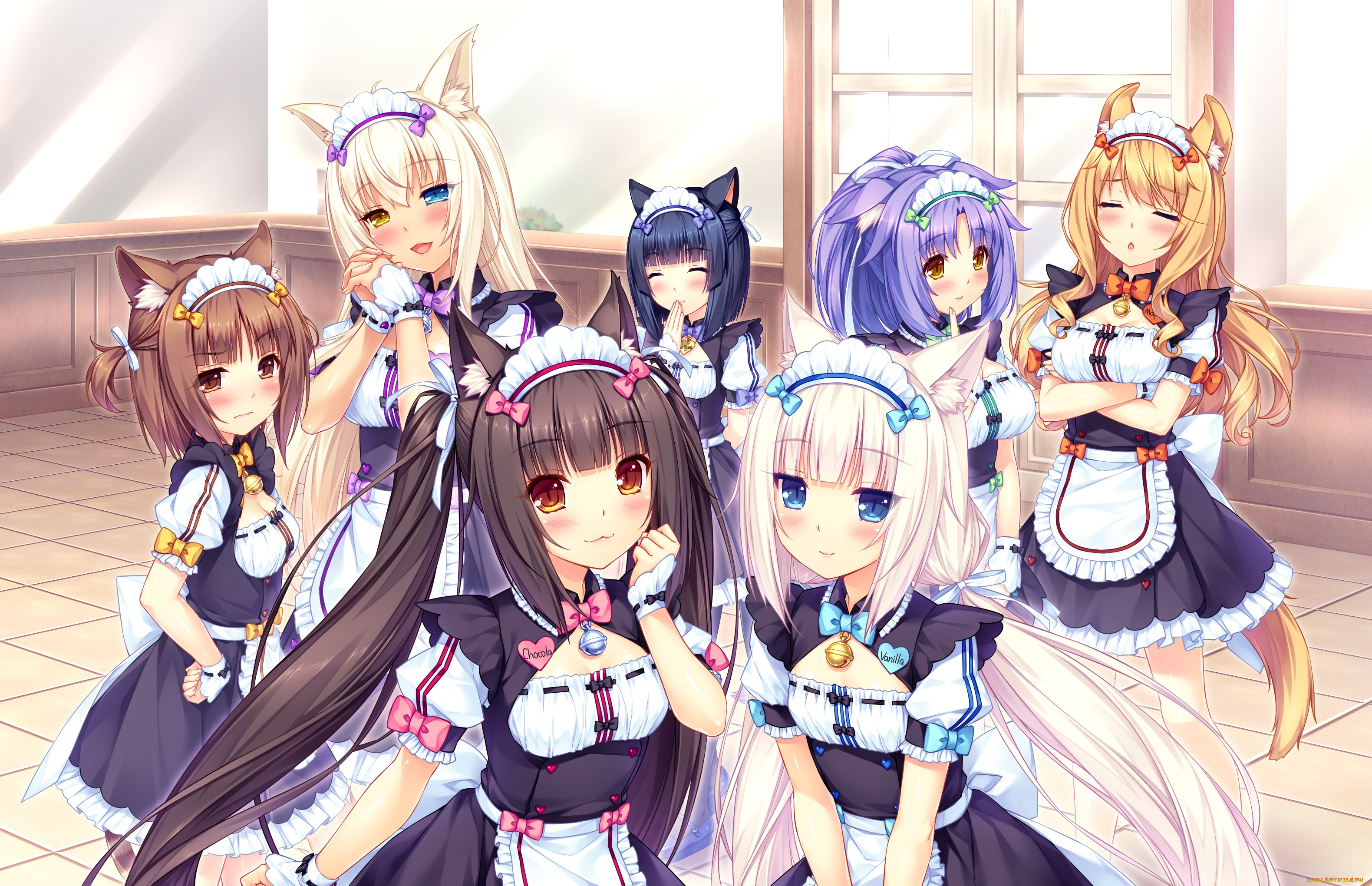 nekopara, аниме, девушки, фон, взгляд