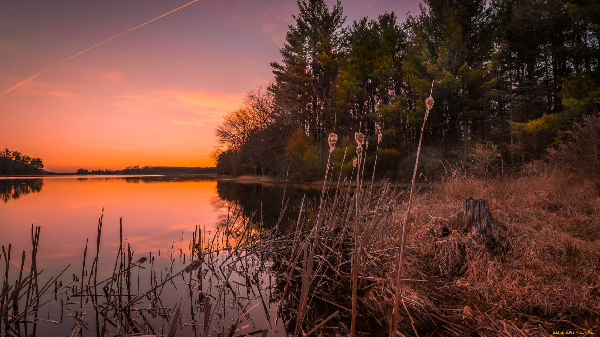 природа, реки, озера, рассвет