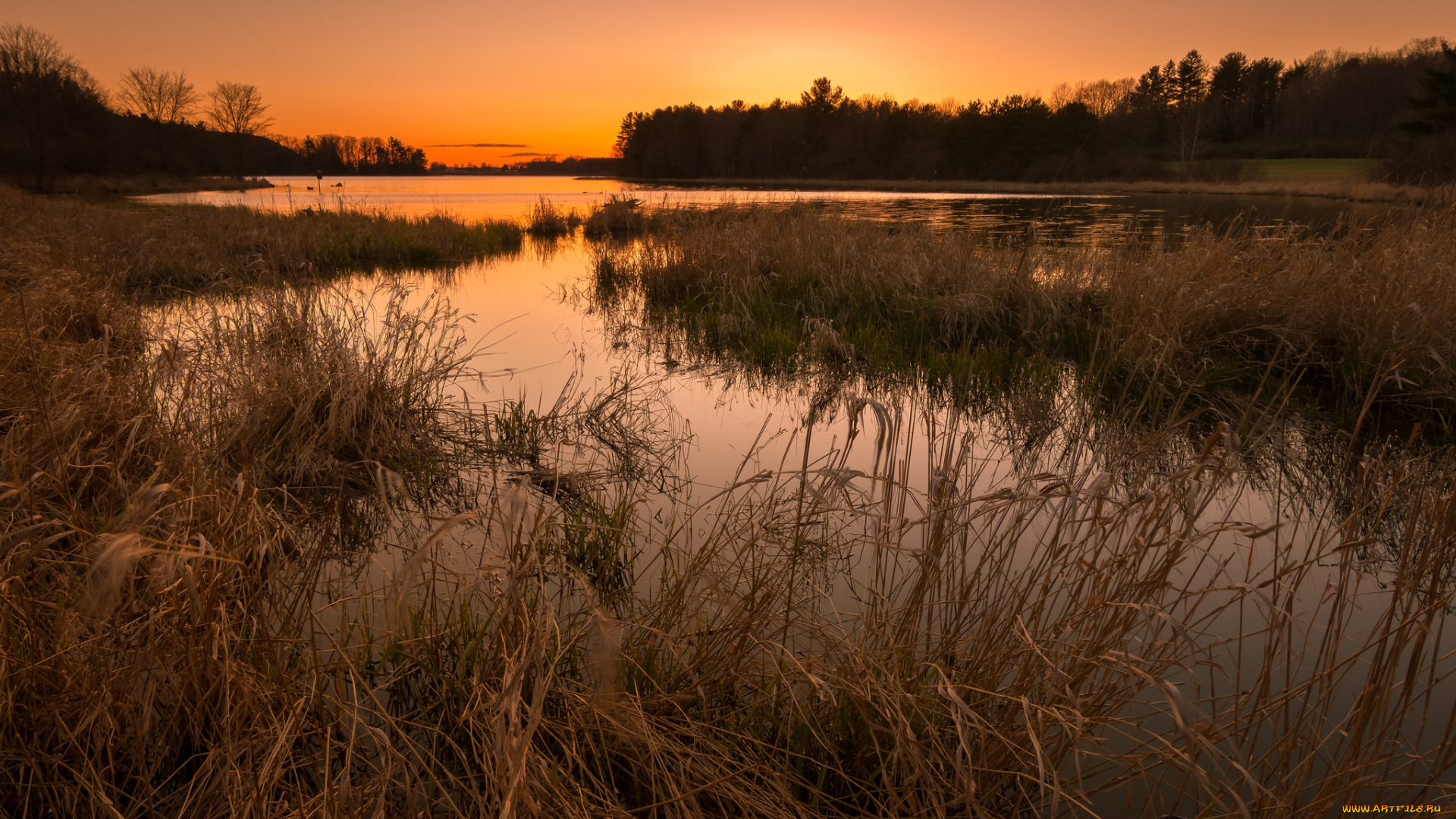 природа, реки, озера, рассвет