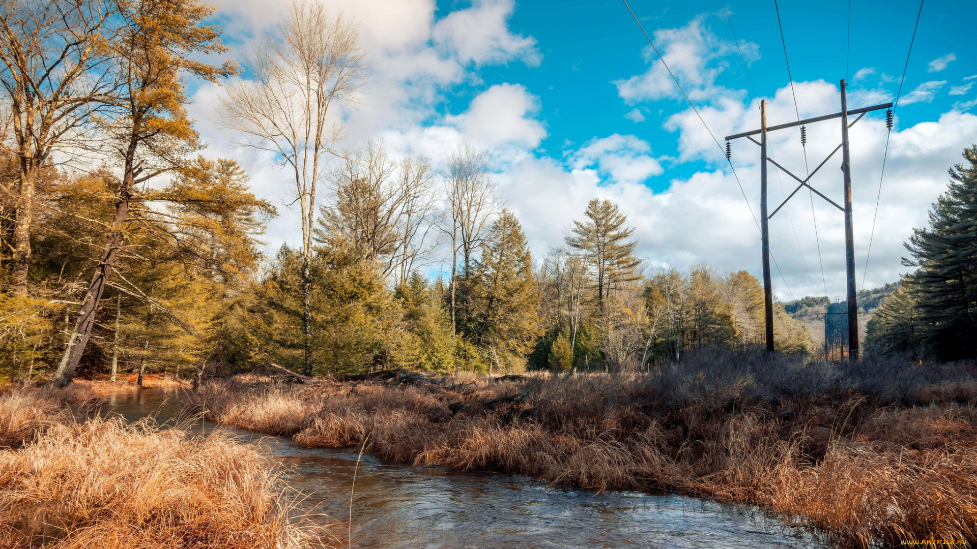 природа, реки, озера, река, лес