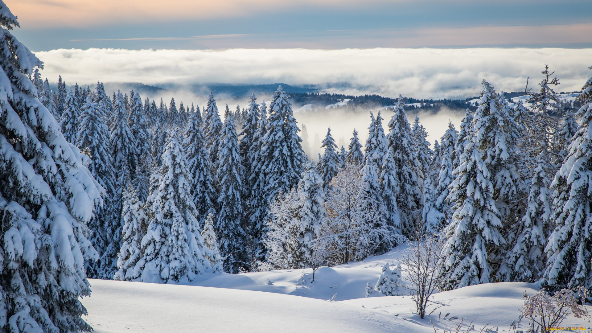 природа, зима, снег