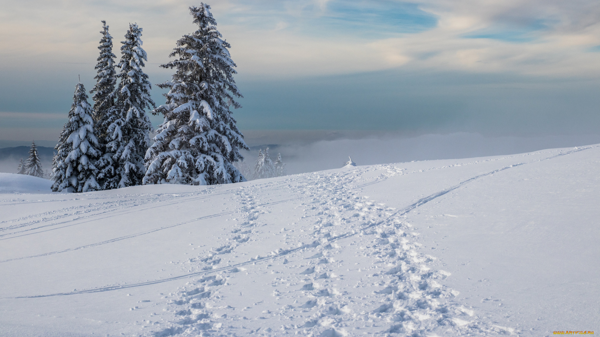 природа, зима, снег