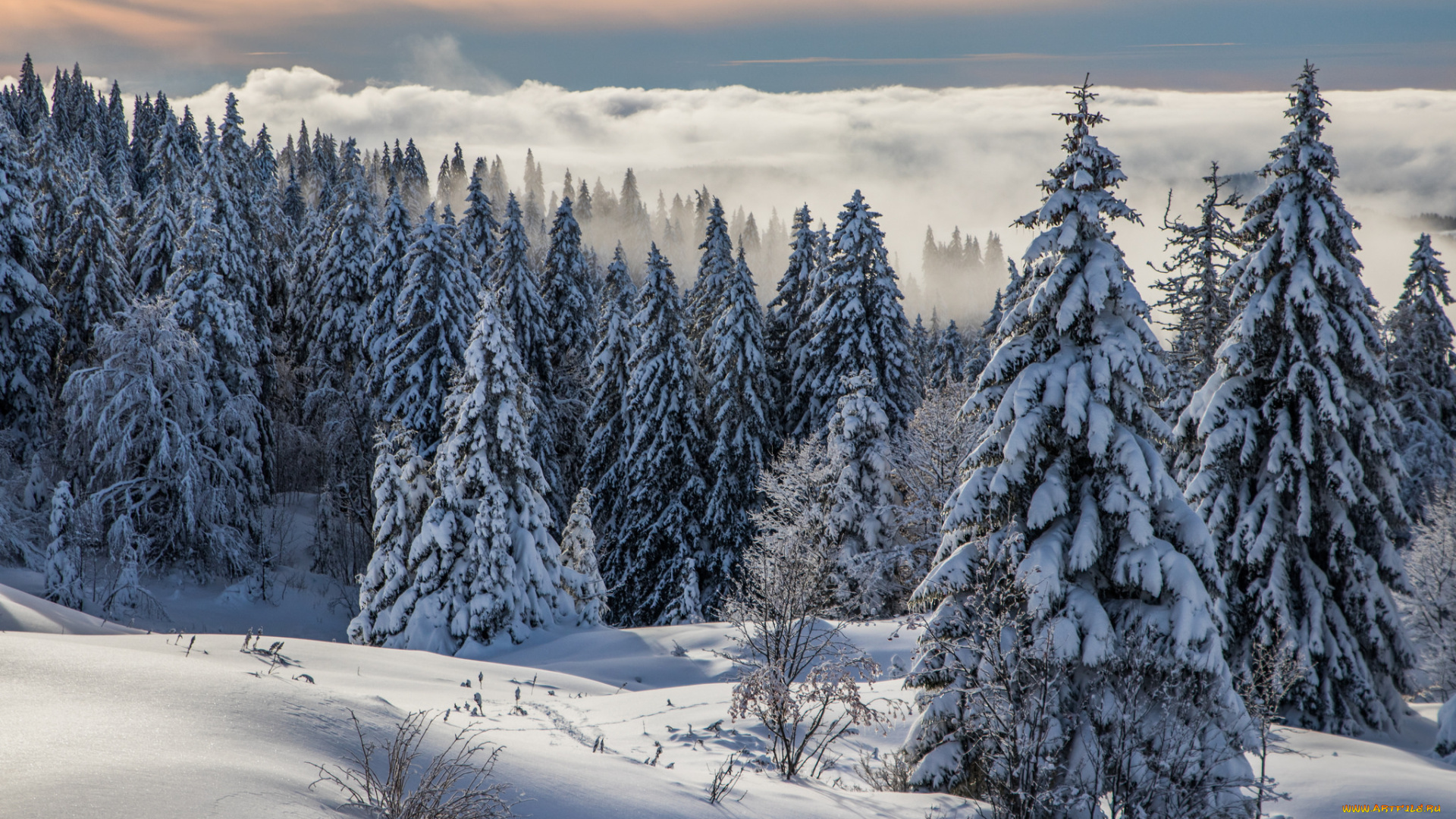 природа, зима, снег