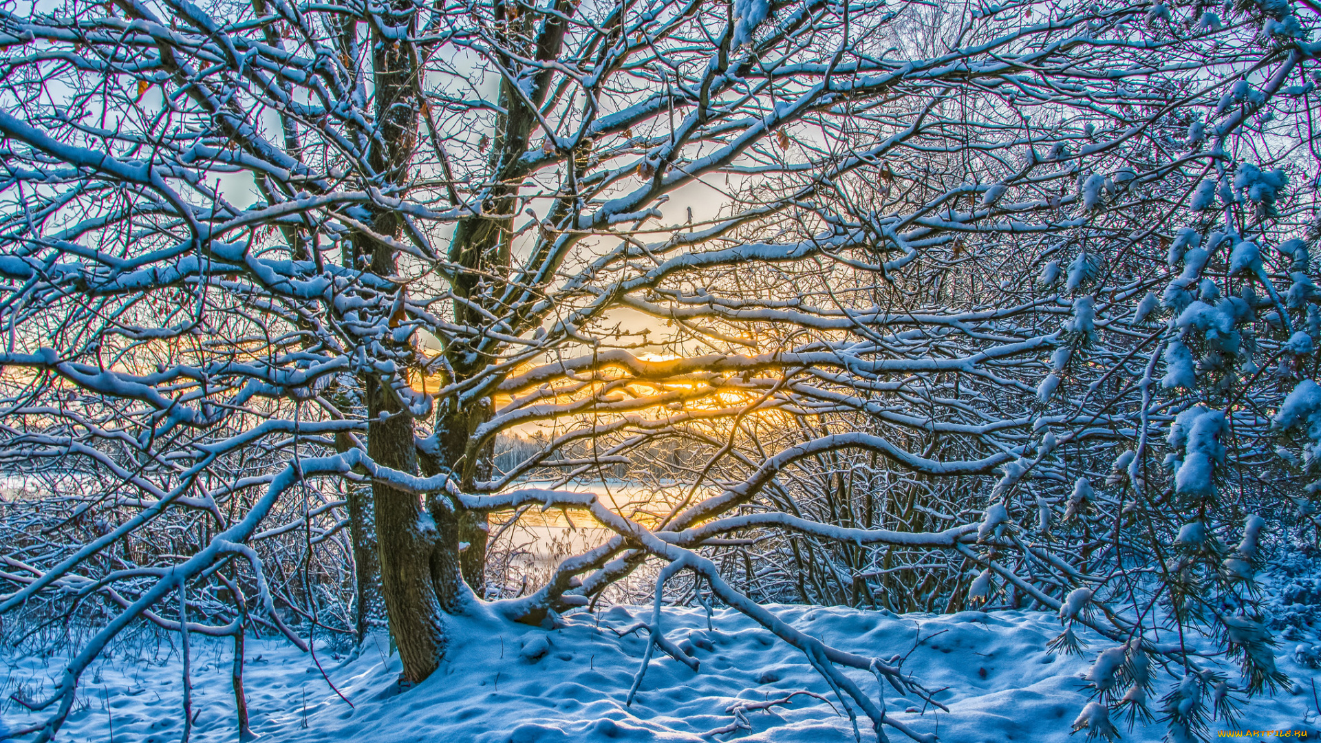 природа, зима, снег