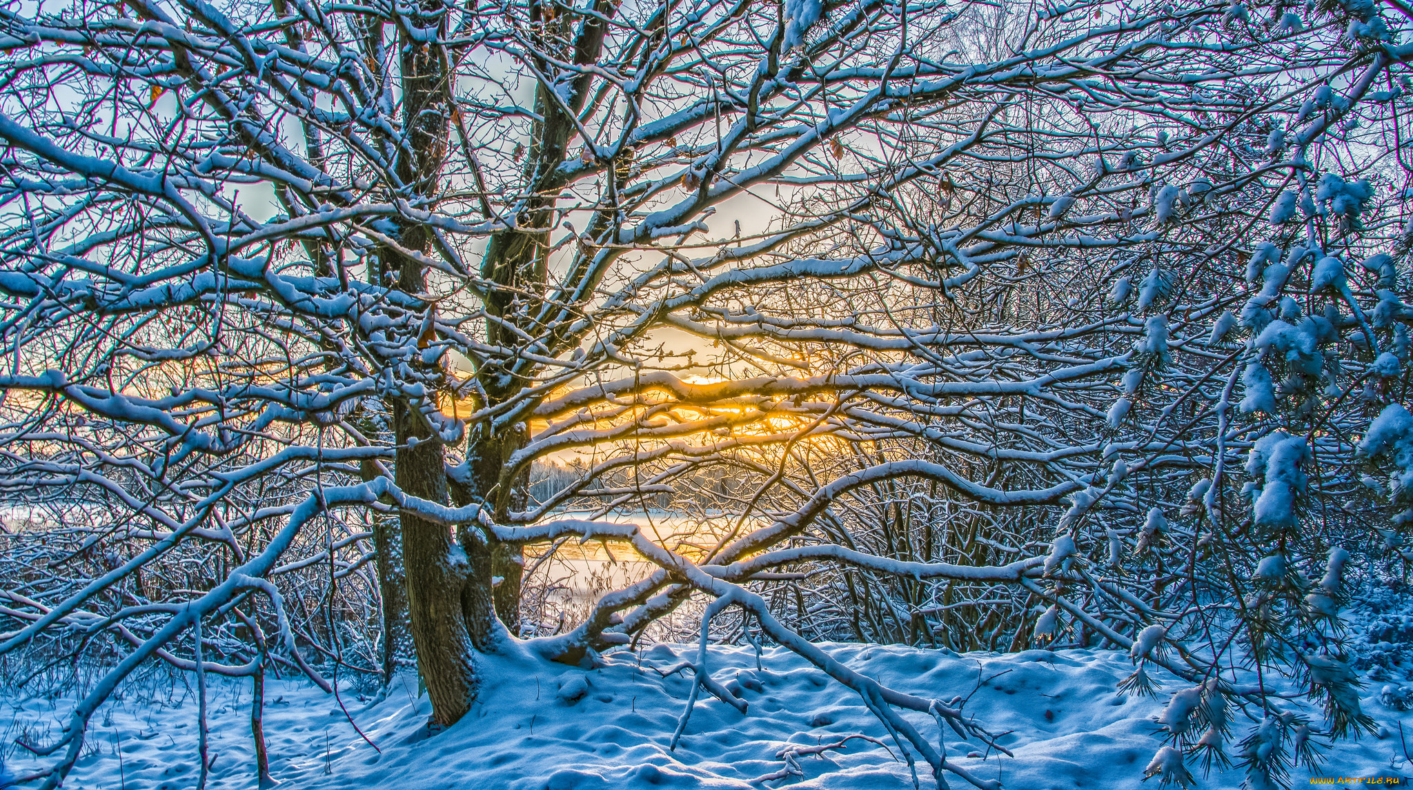 природа, зима, снег