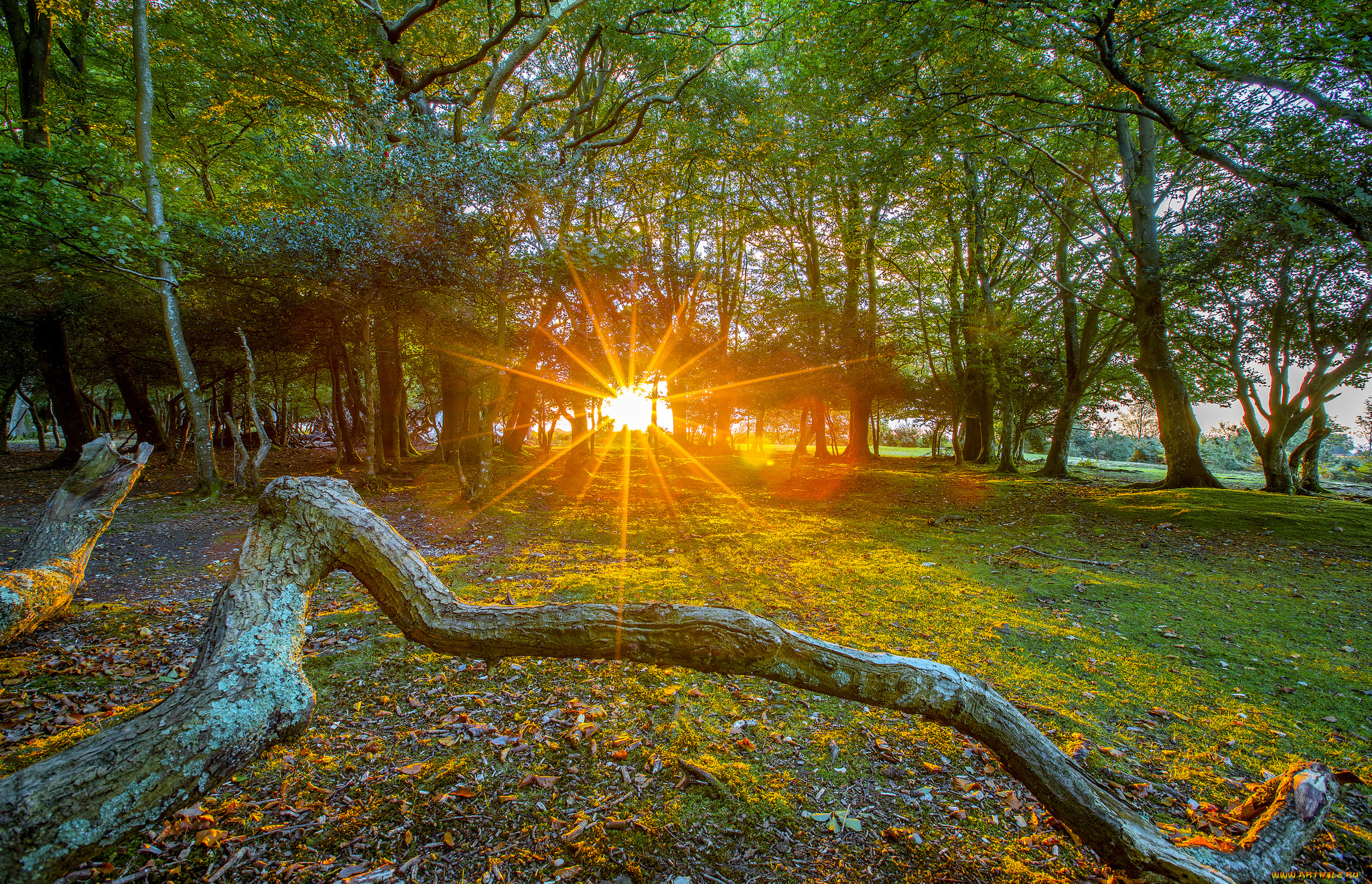 природа, восходы, закаты, рассвет