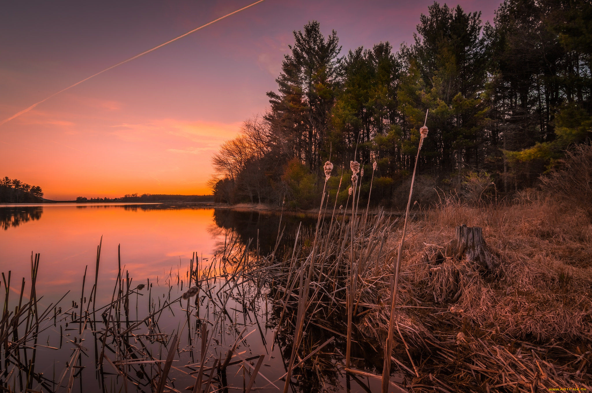 природа, реки, озера, рассвет