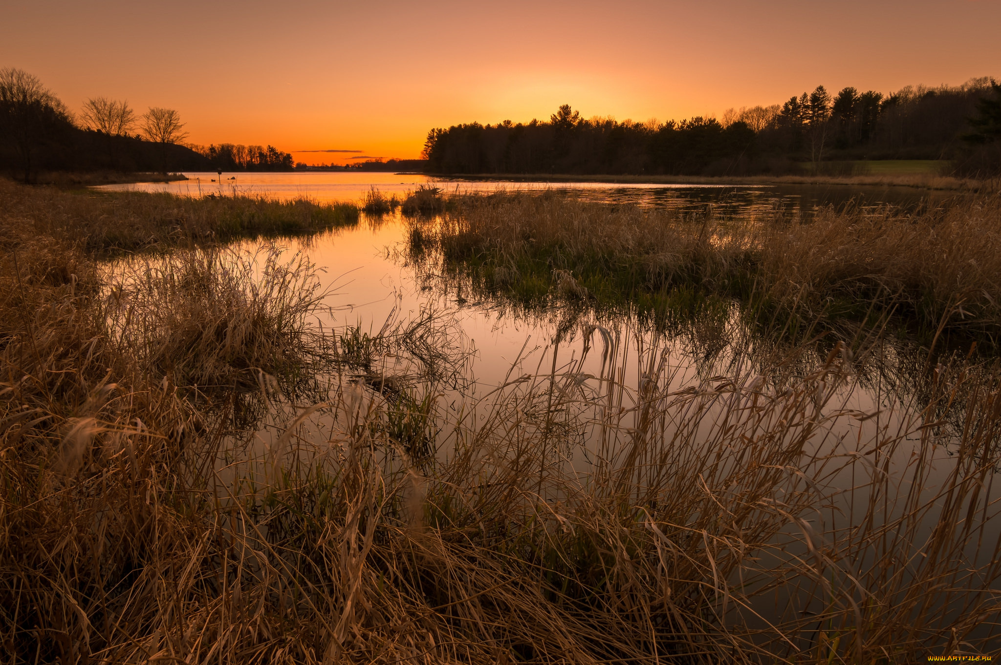 природа, реки, озера, рассвет